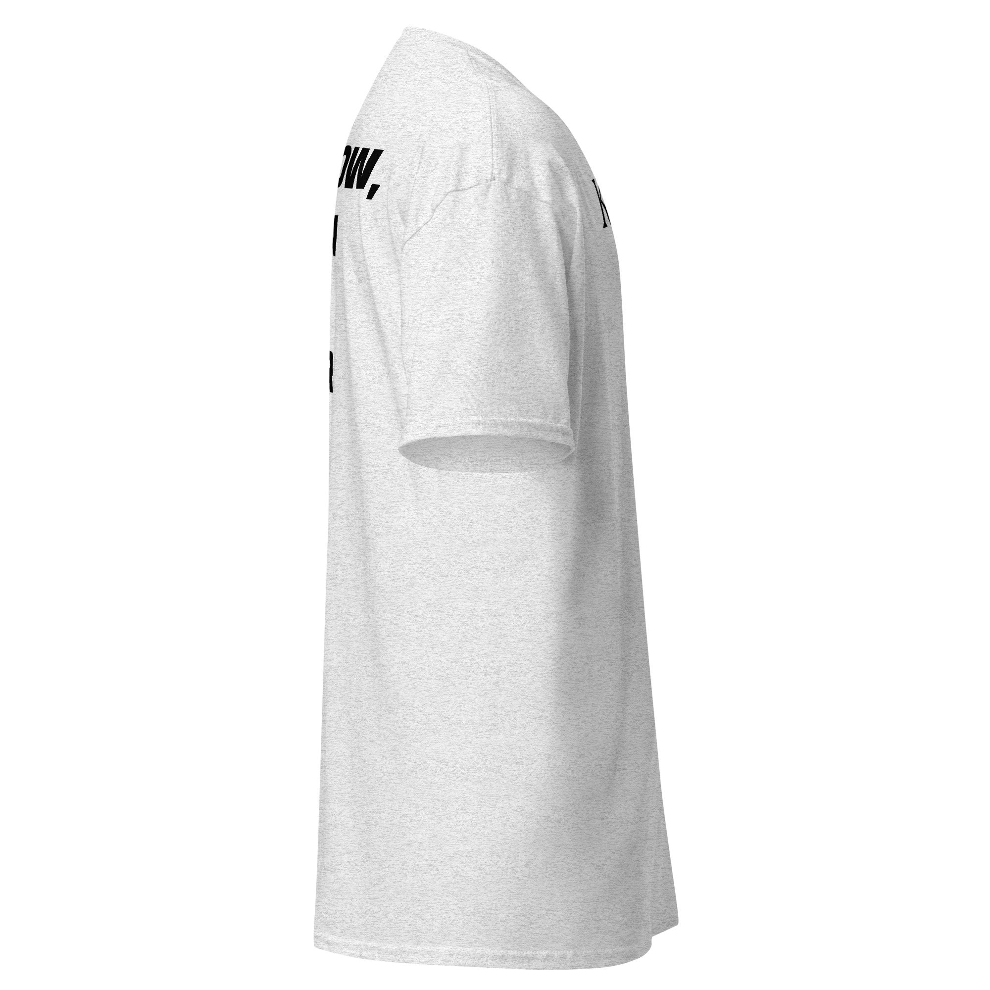 unisex-classic-tee-ash-right-686af58e63a76.jpg