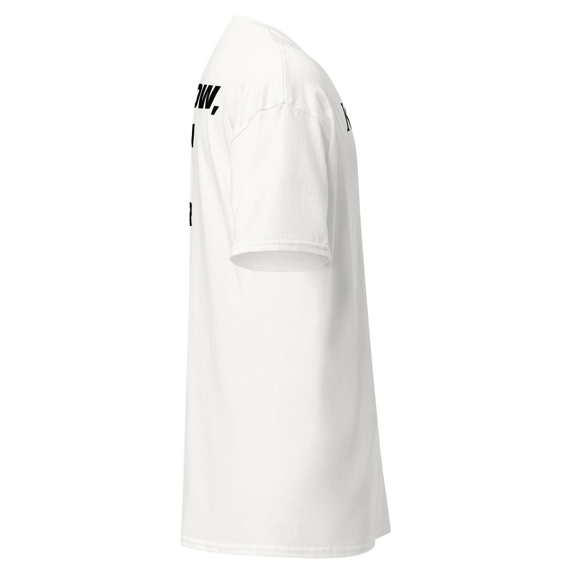 unisex-classic-tee-white-right-686af58e70afc.jpg