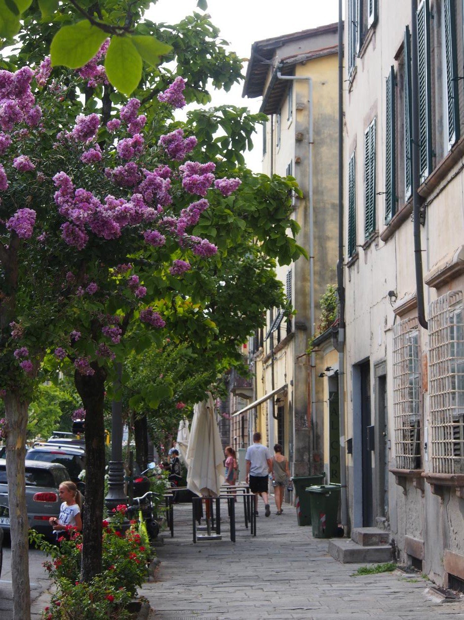 A cafe-filled street, lined with flowers and trees.