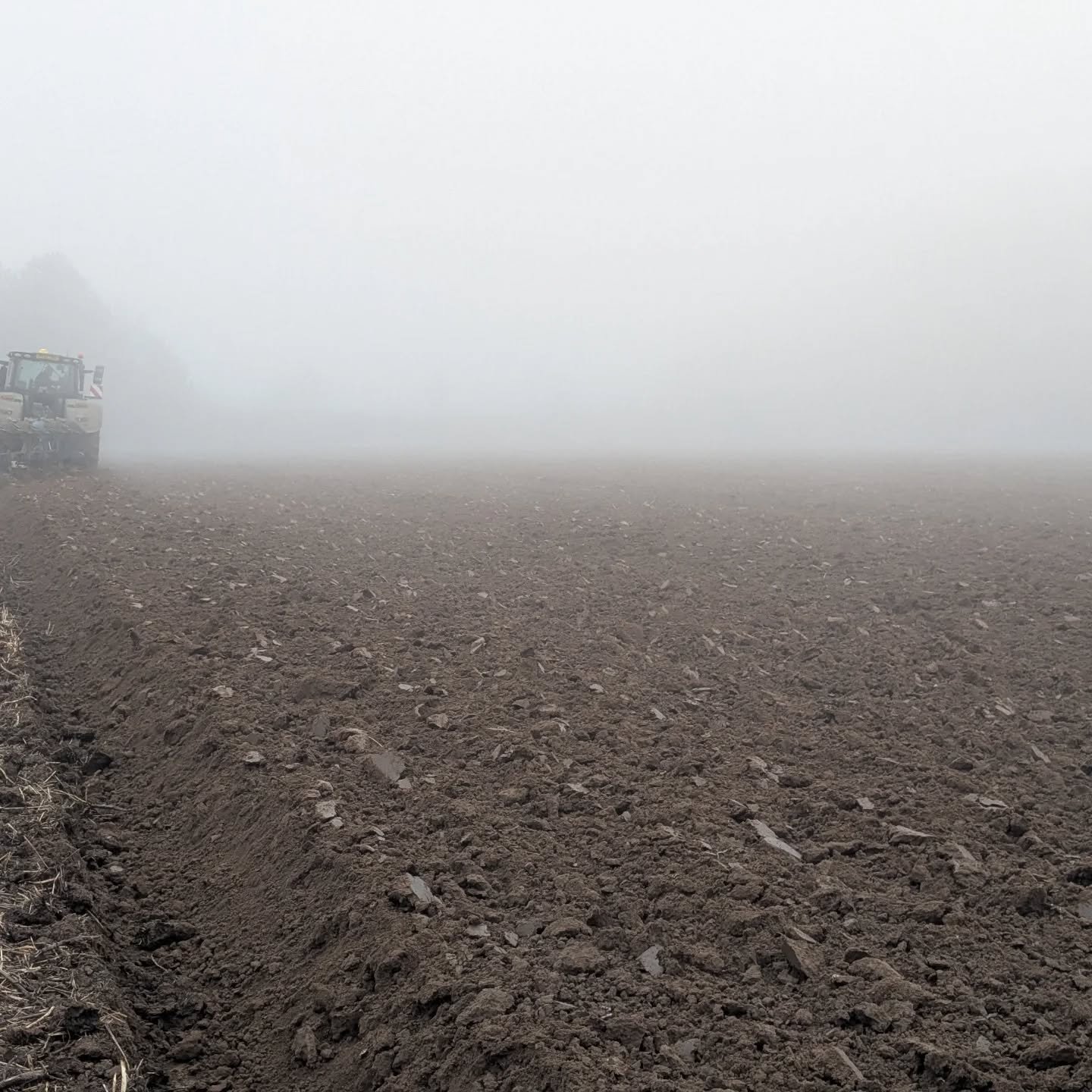 This past week we&rsquo;ve been busy preparing the ground and drilling our vegetable crops for the season ahead.

Following the grazing of our over-winter cover crops, the fields were ploughed and then worked down with a power harrow to create a fine