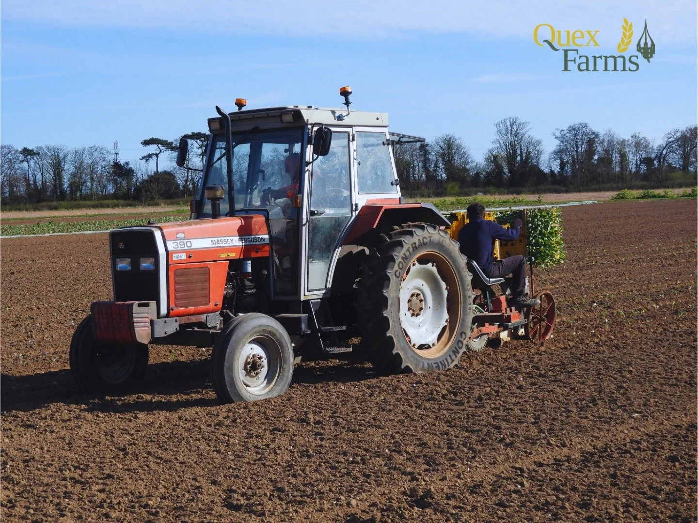 The first of our plug plants have now been planted in the field.

This week, we planted our sweetheart cabbage and kohlrabi plugs into excellent soil conditions. 

After planting, the crops were covered with protective fleece. This helps protect the 