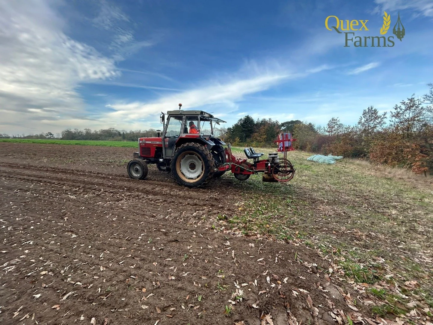 Seasonal field worker

Field Worker

Part-time position (at least 2 to 3 days per week)

Location: Quex Park, Birchington-on-Sea 

Wage: dependent on experience 

Quex Farms recently reintroduced vegetables to the Quex Park Estate, adopting an ethos 