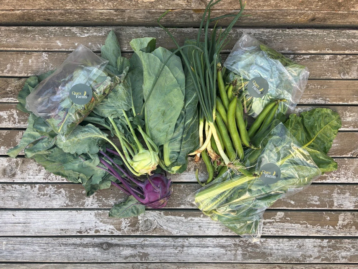 The wait is finally over - our seasonal pesticide-free veg boxes are now available!
Packed with fresh, seasonal vegetables grown with care right here at Quex, our veg boxes are a simple way to enjoy local produce while supporting sustainable farming.