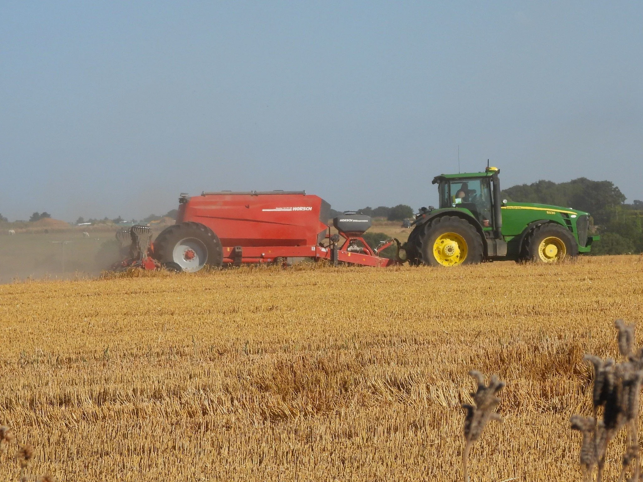 Callum drilling cover crop