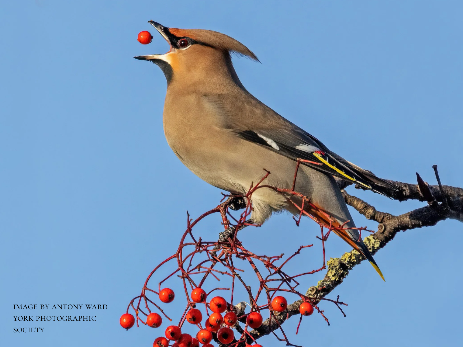 York Photographic Society Exhibition