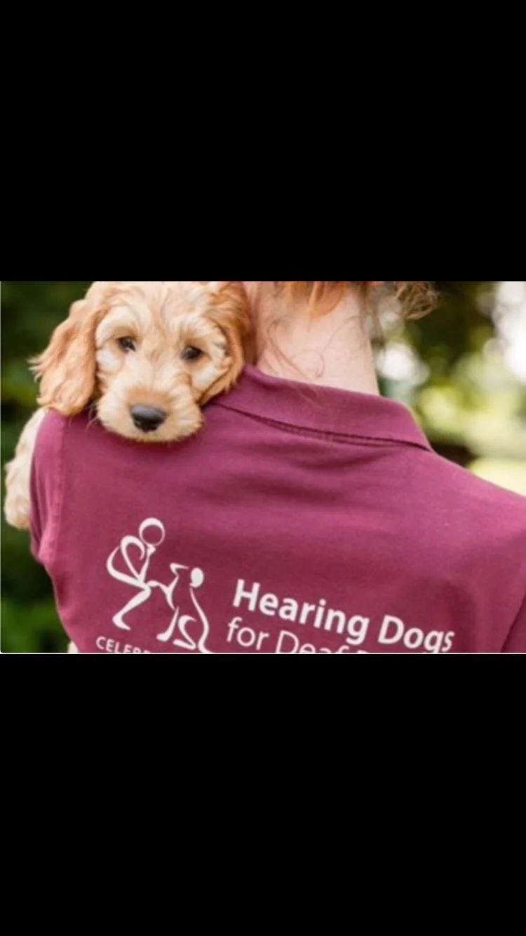 HEARING DOGS CHARITY EVENT