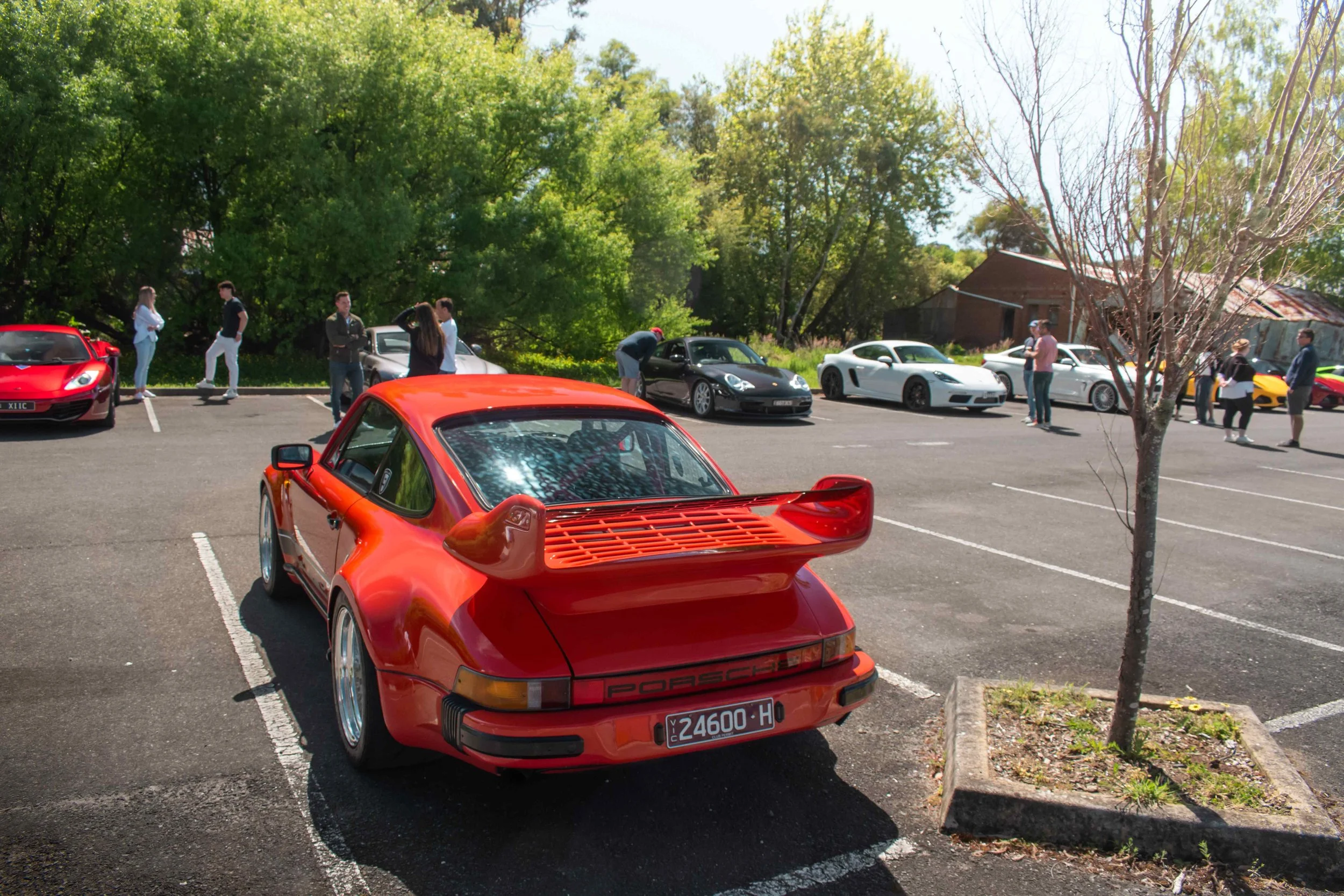 DSC_0455.jpg