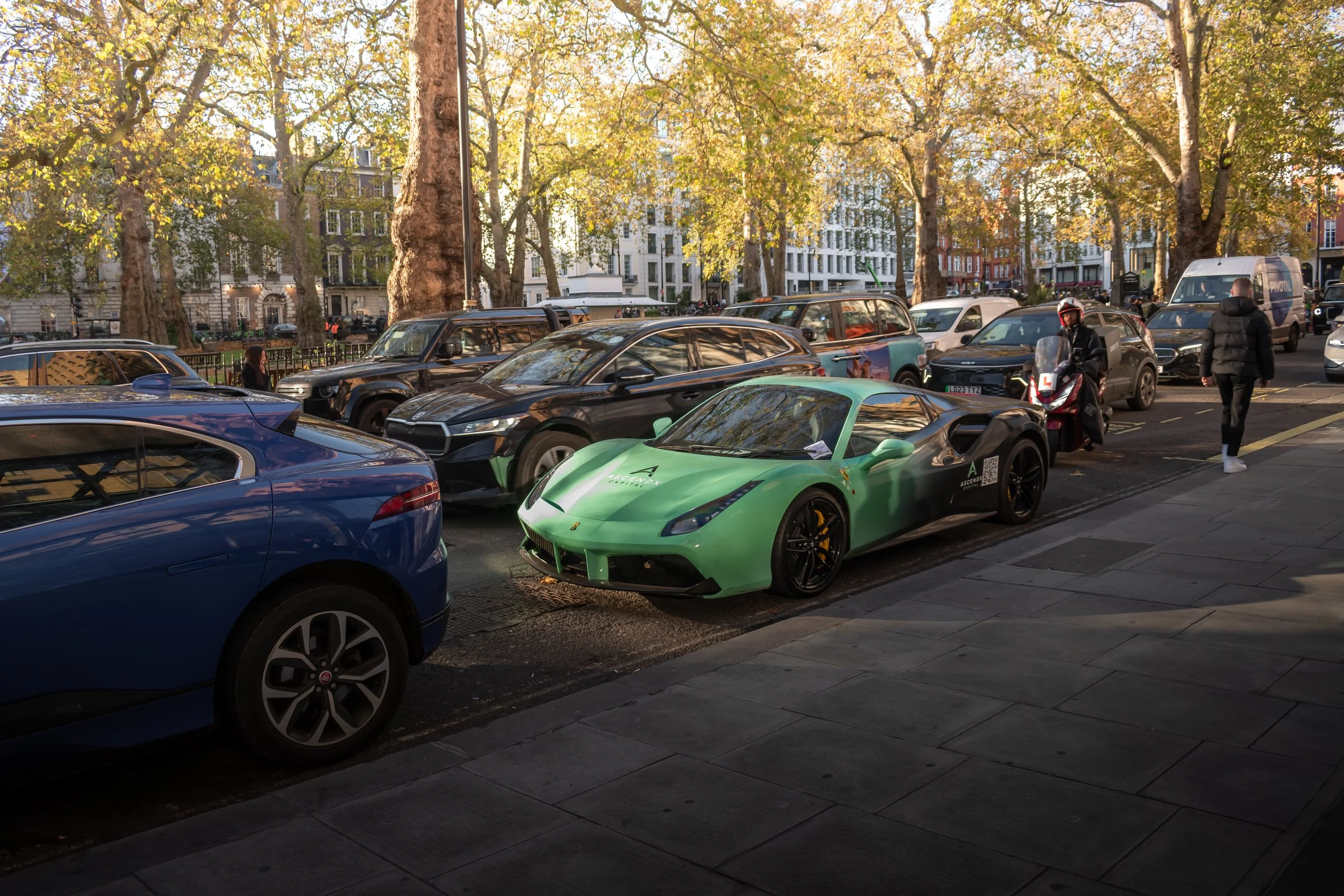 DSC_0273 (1).jpg
