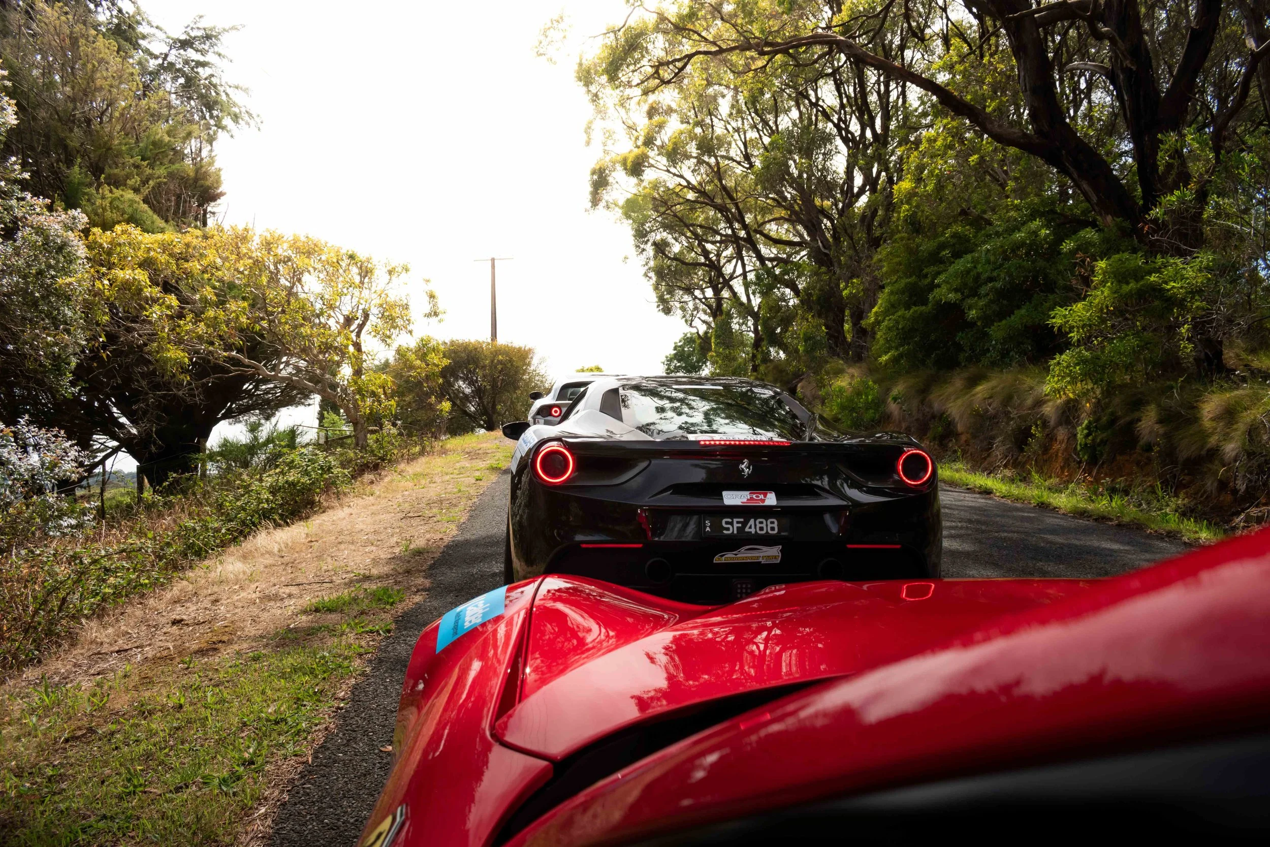 AdlRally2025-42.jpg