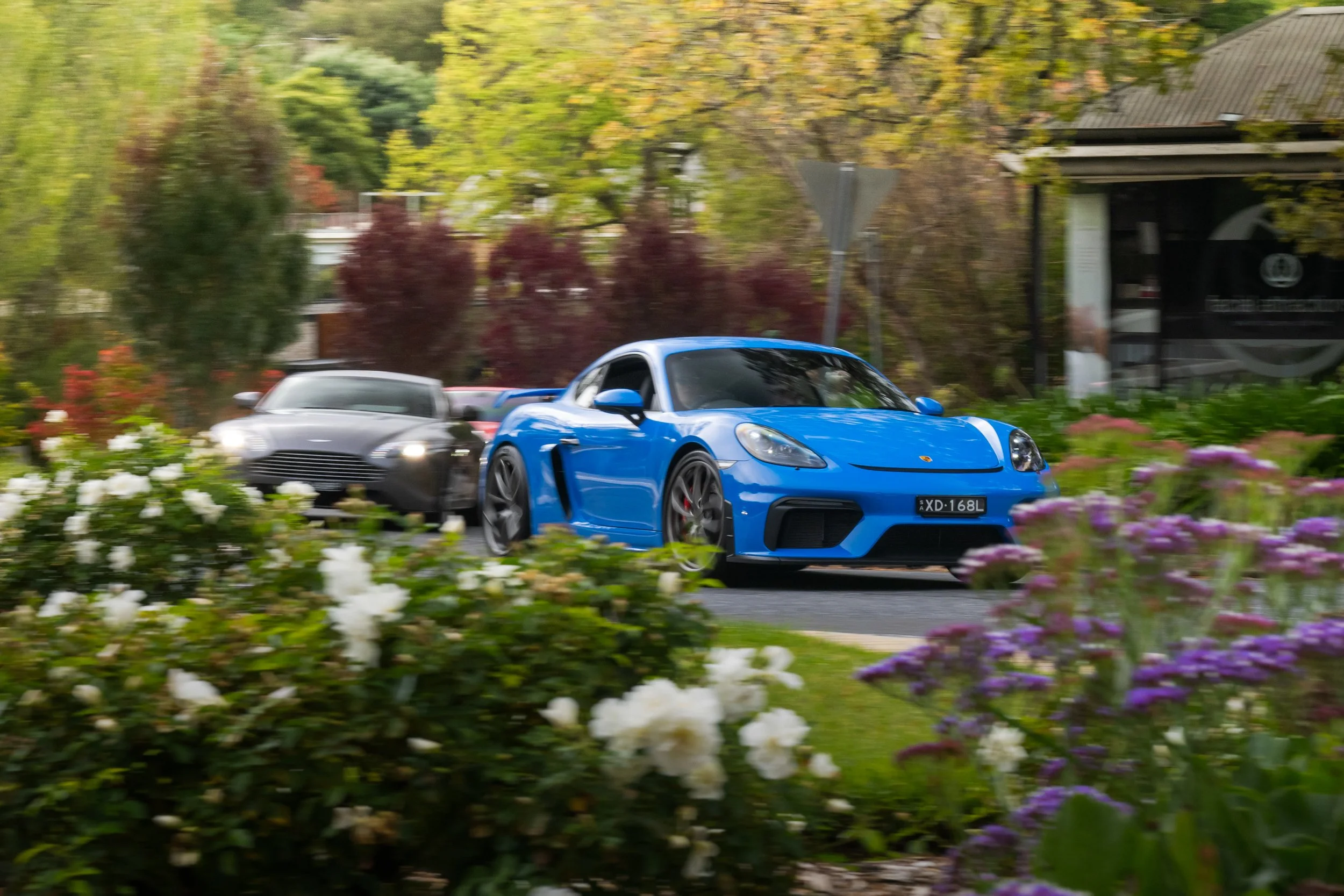 A blue sports car driving on a suburban street with flowers in the foreground and trees in the background.