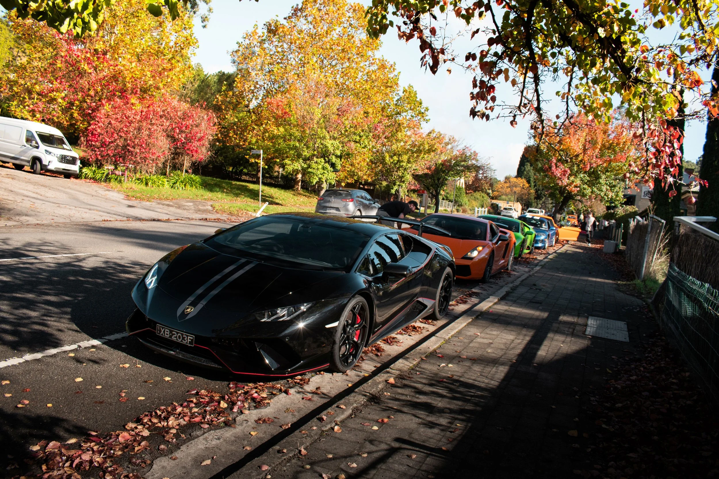 CHAutumn-5.jpg