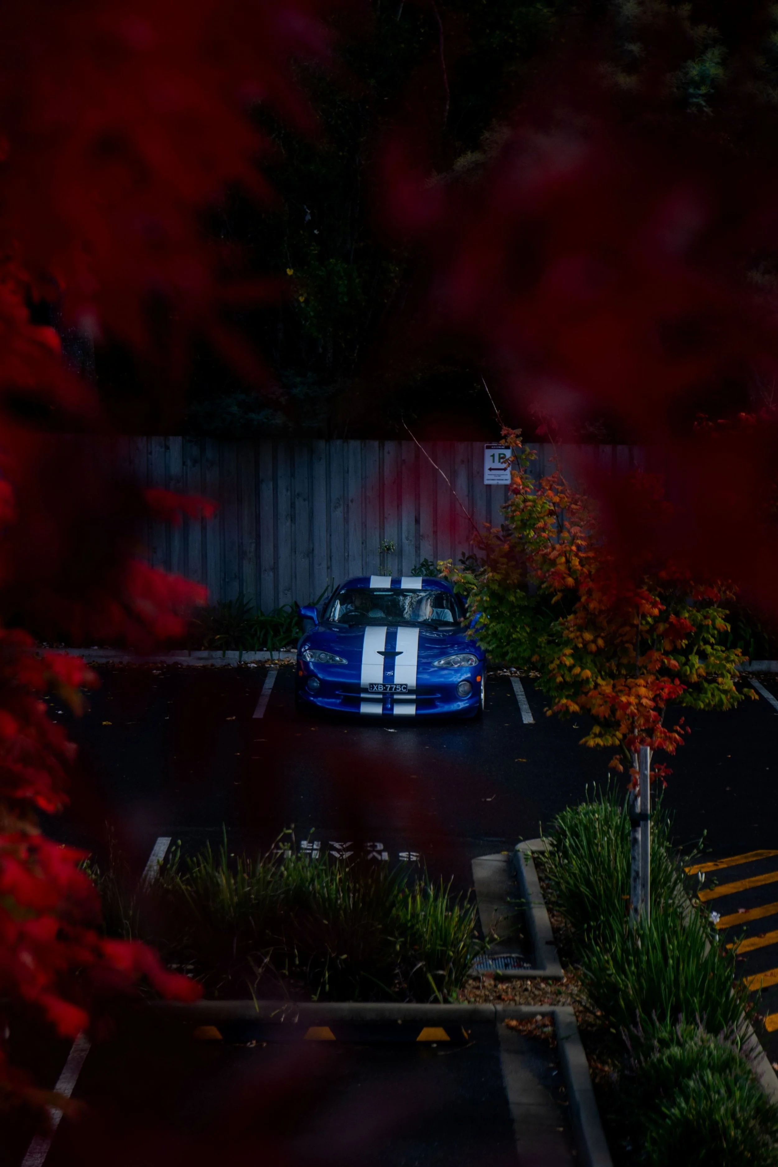 SteveViperCHAutumn-27.jpg