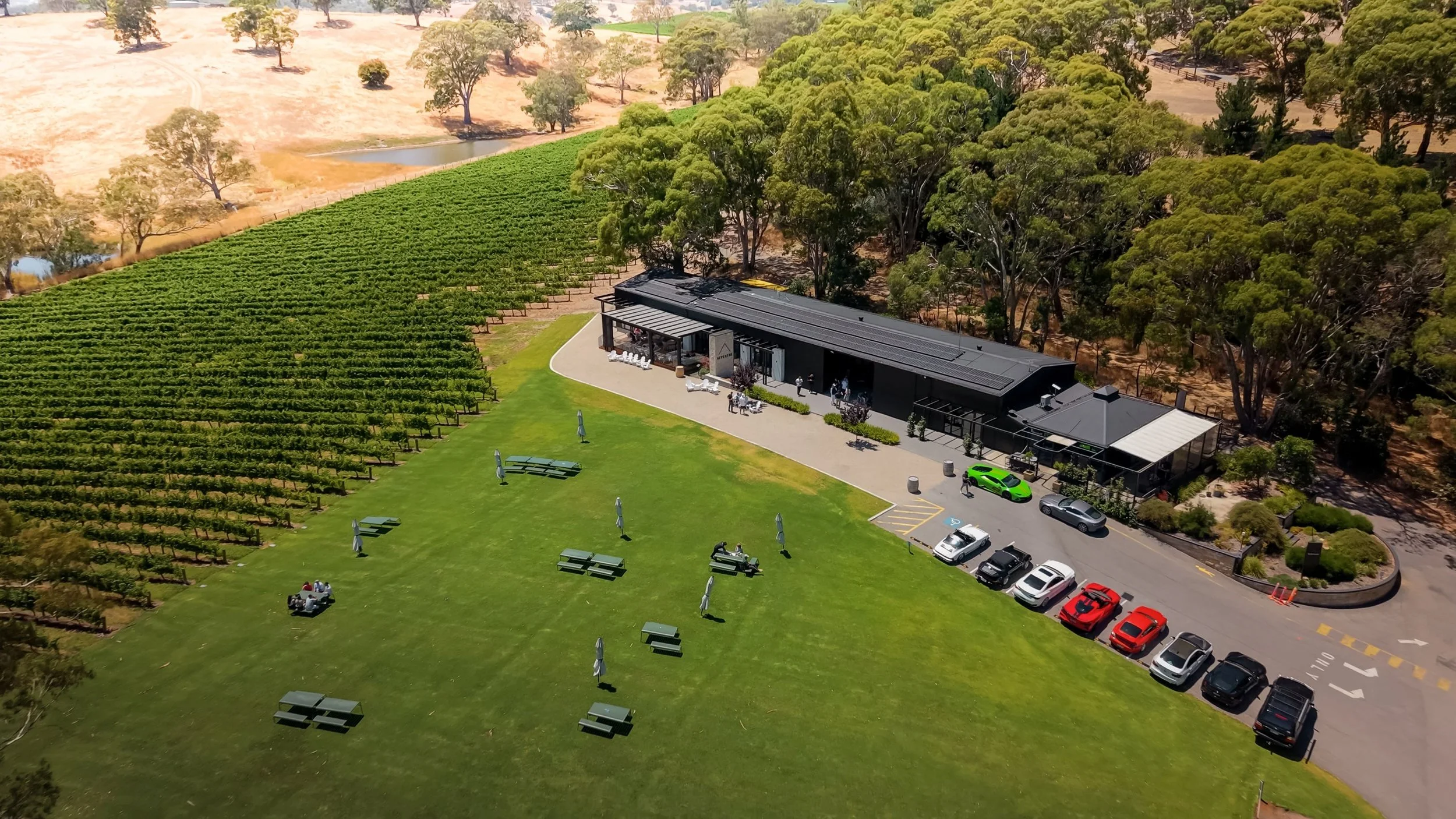 NEWYEAR-49 - Copy (2).jpg