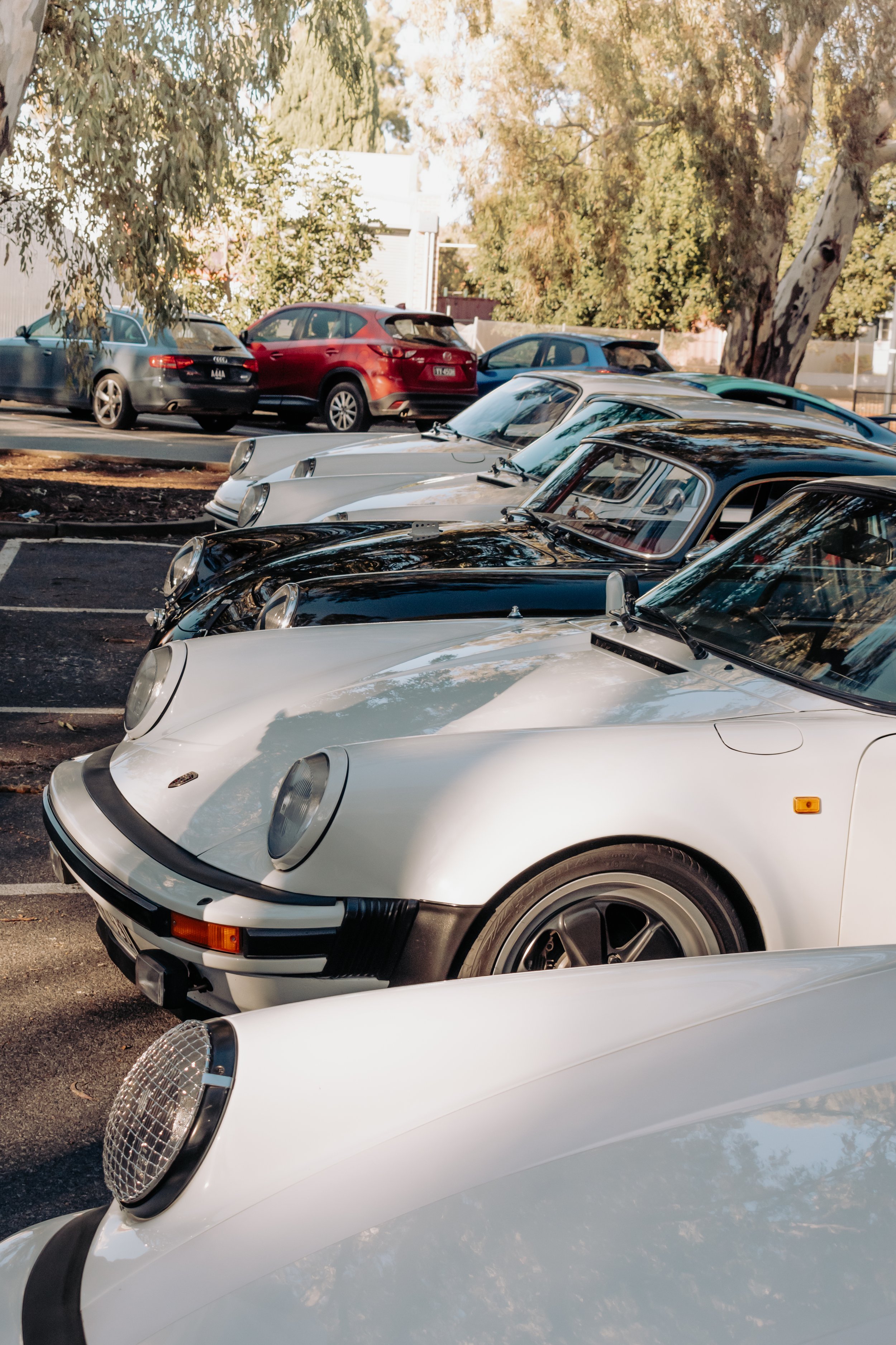 CLUBHILLSIDEWINTERCRUISE (17 of 139).jpg