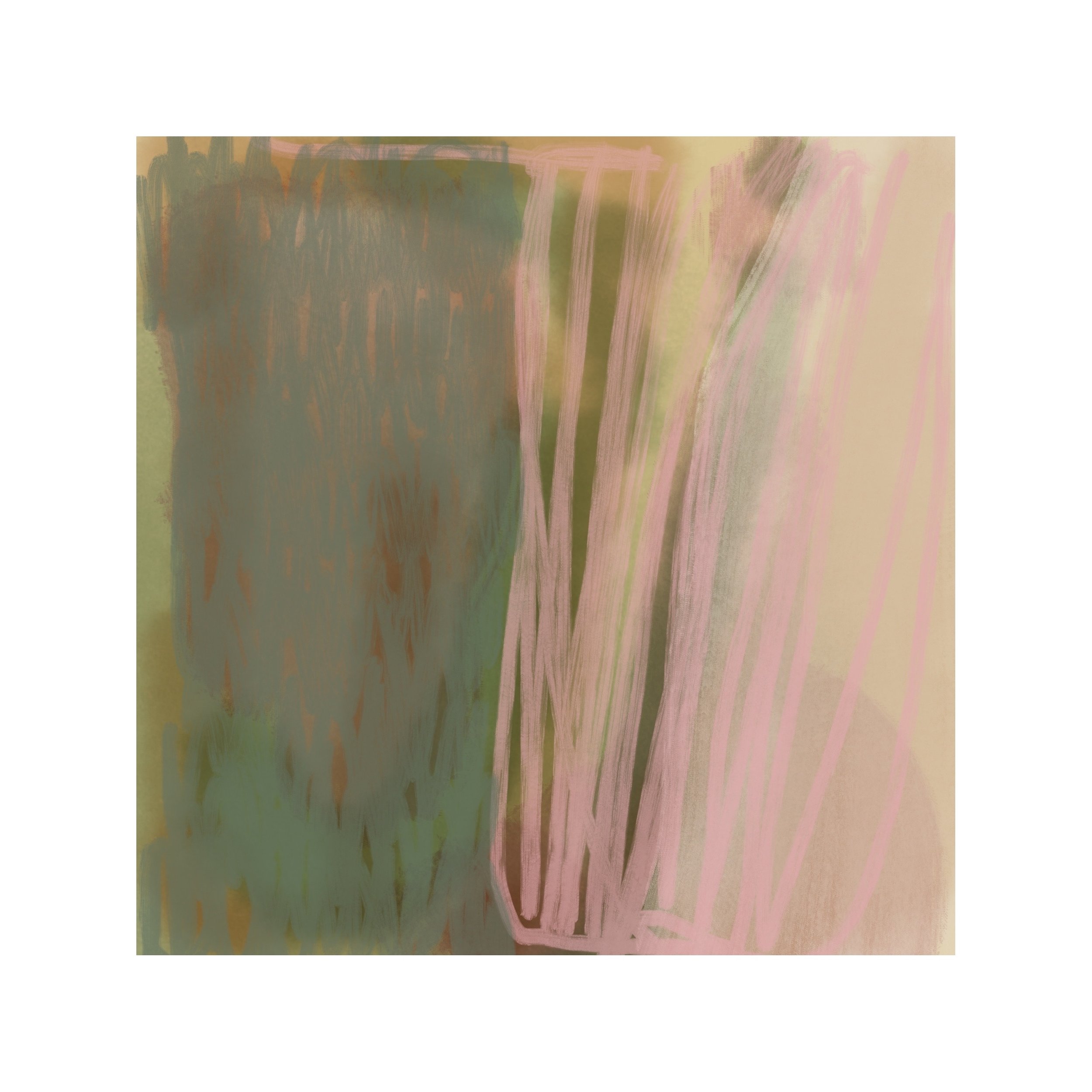 IMG_0504.jpeg