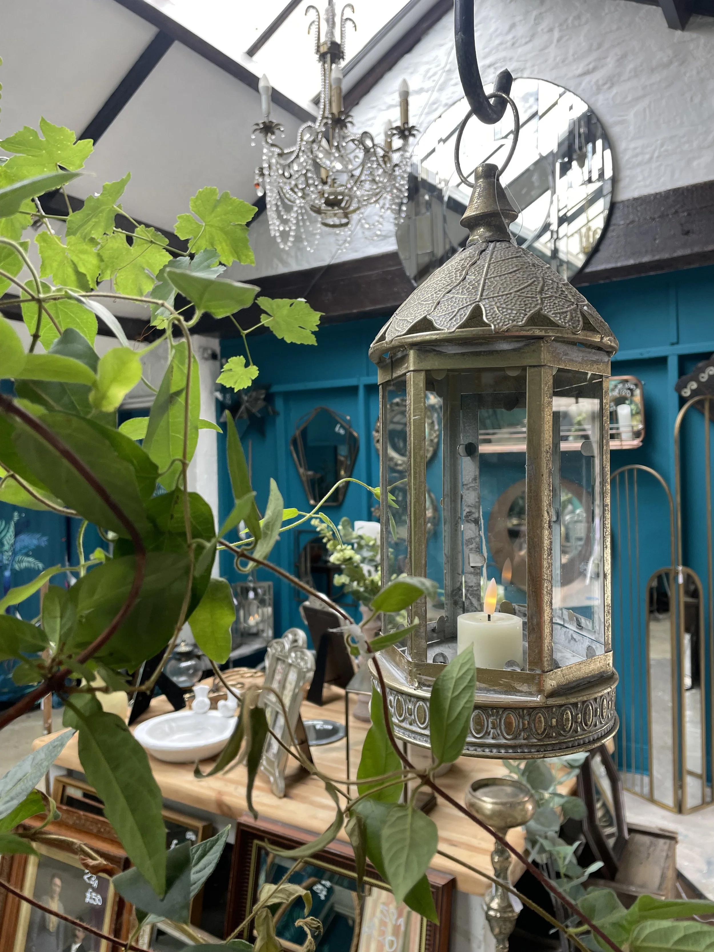 A vintage lantern with a lit candle inside, surrounded by indoor plants, hanging from the ceiling in a decor store.