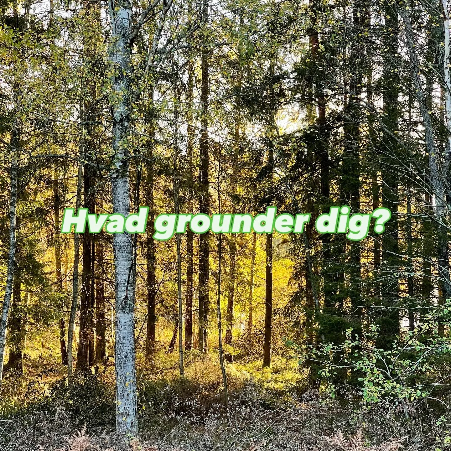Hvad grounder dig? - for mig er det slow living in nature. Ingen elektricitet, ingen rindende vand, bare ild i pejsen/fisen, mad over bål, gåture, ro og familietid.
Skal lige overbevises hver gang. Så jeg er så taknemmelig for