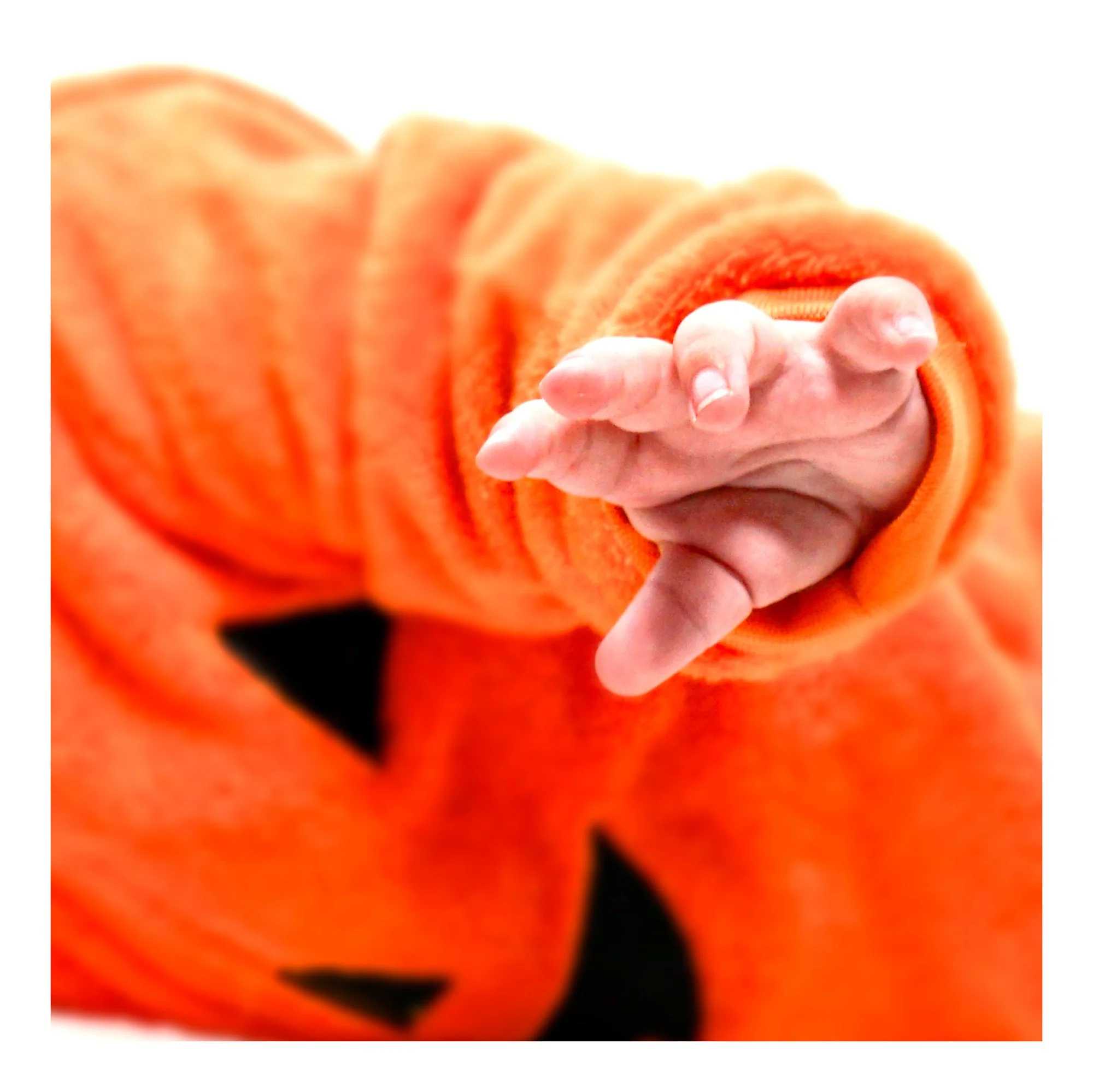 SO_2882
