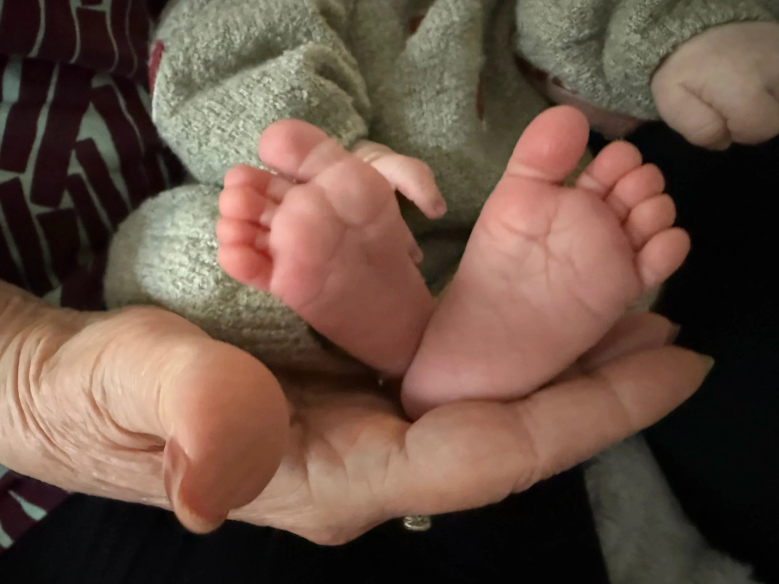 Four Weeks with Josie Rose