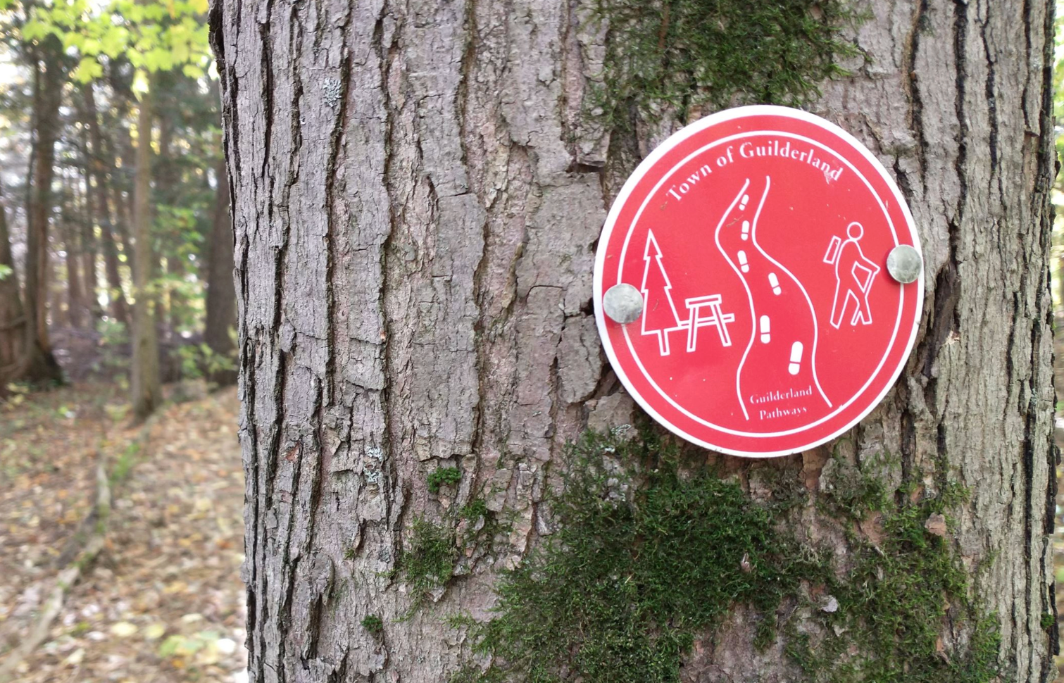 A red circular trail sign attached to a tree in a forest. The sign shows a tent, trail, and hiker icons along with the text 'Town of Guilderland' and 'Guilderland Pathways'.