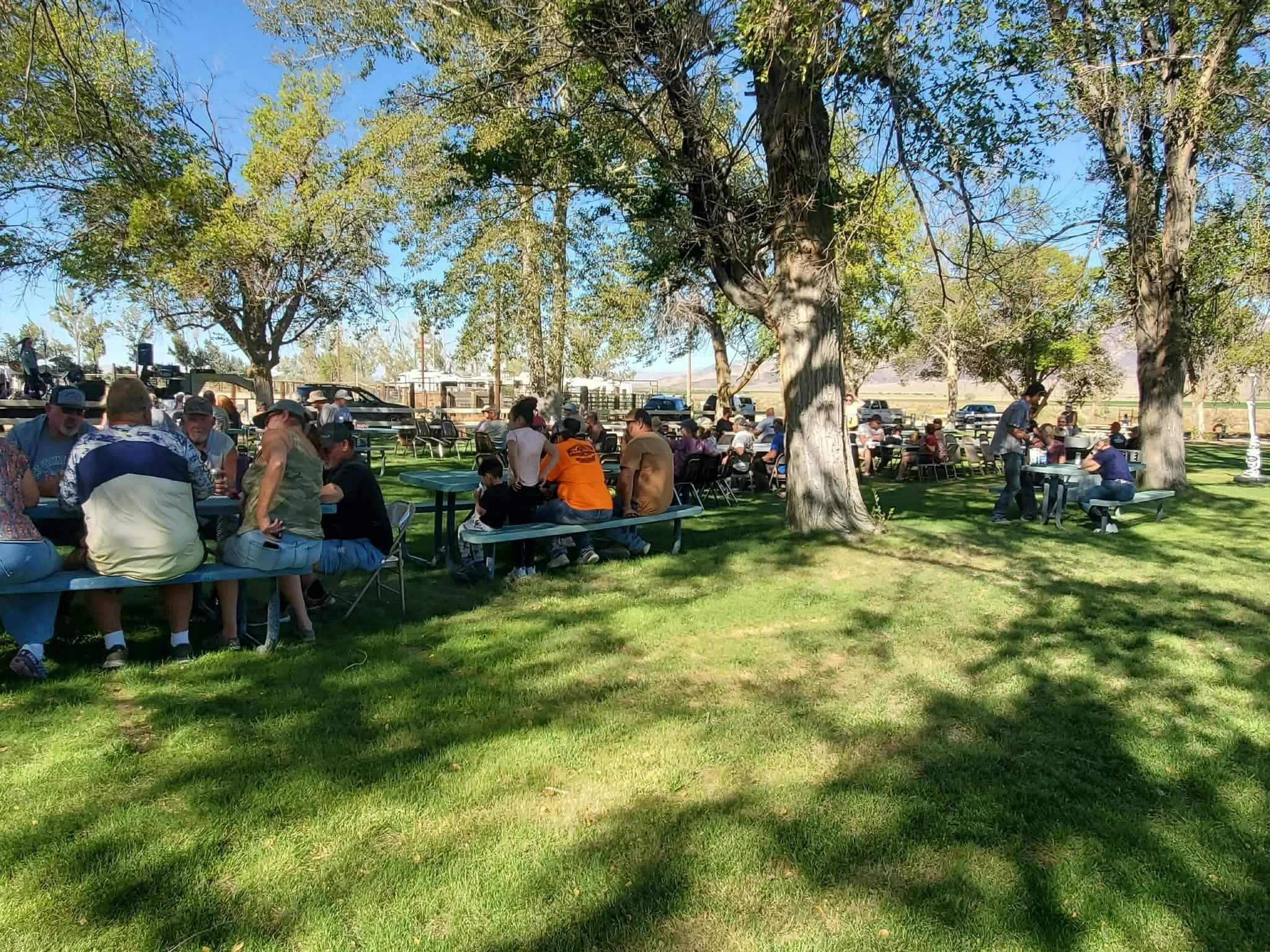 Nye County SxS riders gathered at picnic tables under shade trees during the 2026 Dyer - Fish Lake Poker Run