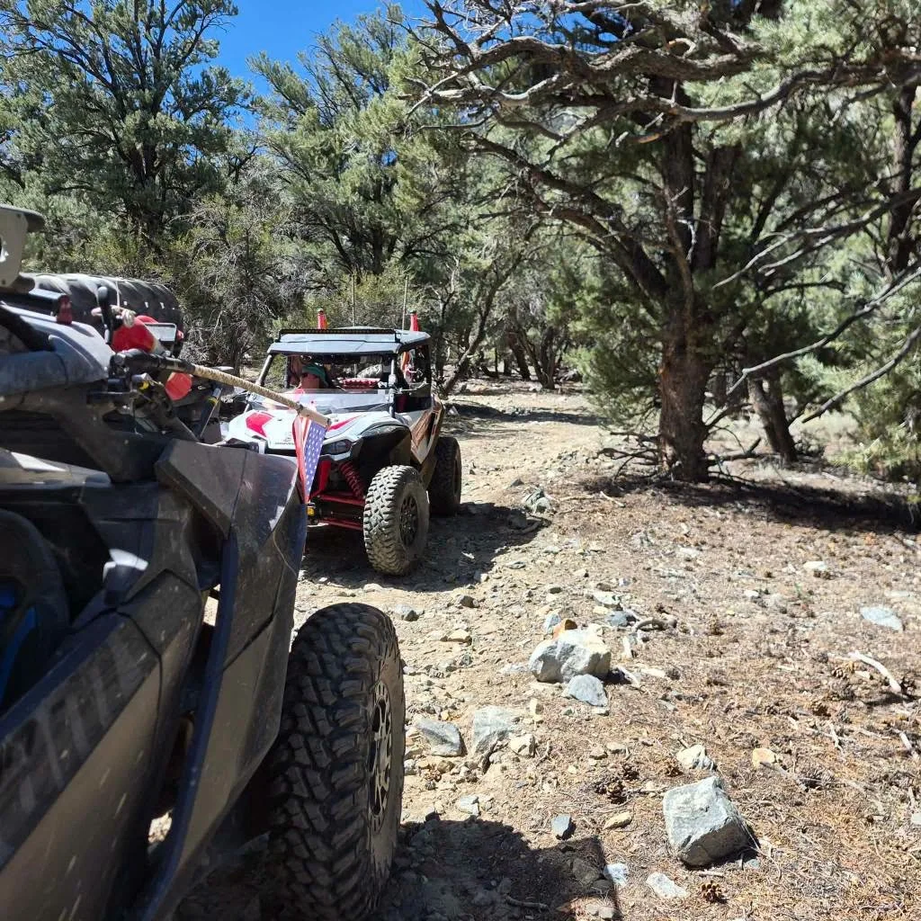 Off-road UTVs parked on a wooded trail lined with pinyon pine trees during the 2026 Dyer - Fish Lake Poker Run