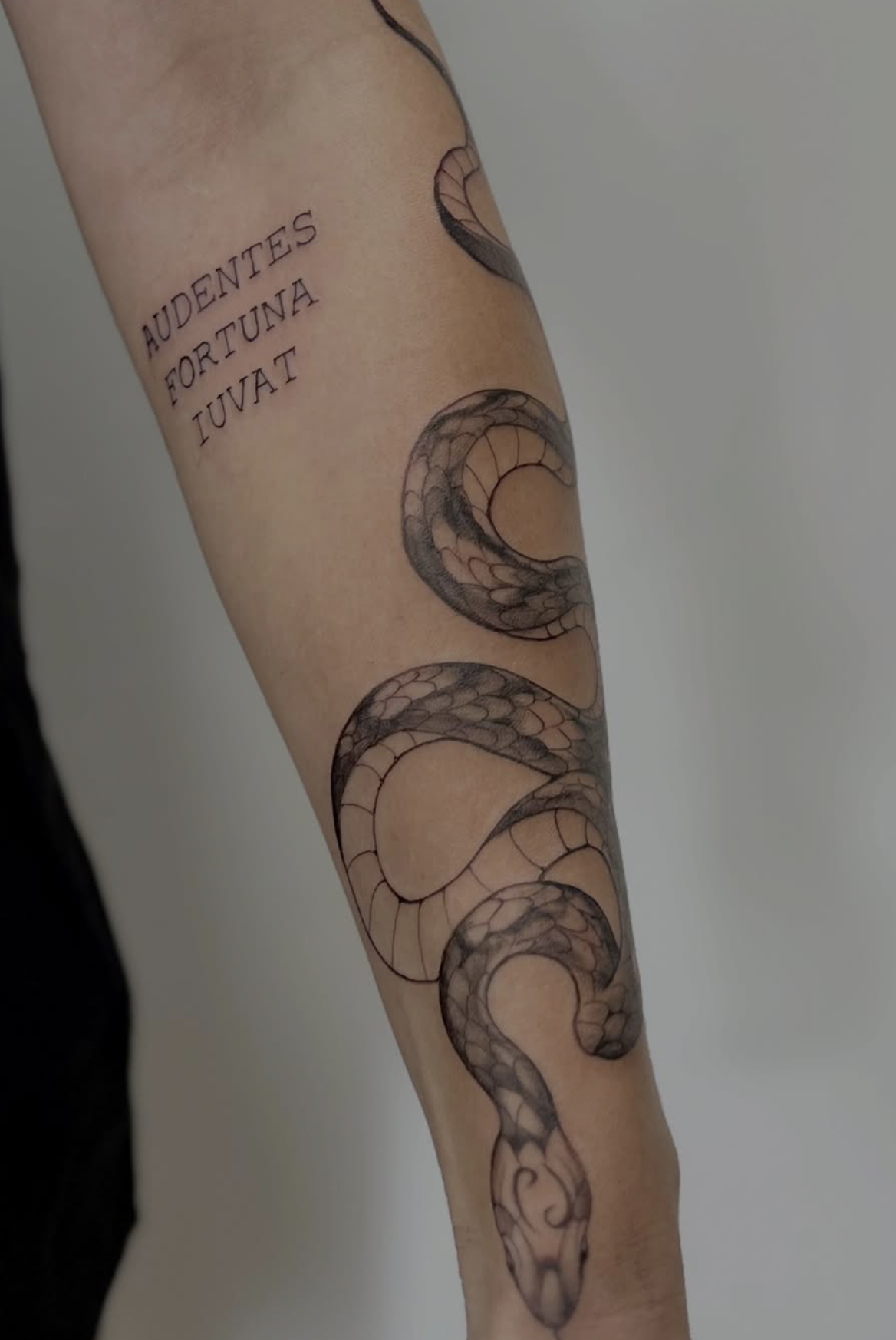 Tattoo Styles in Nashville: Fine Line, Black &amp; Grey, Custom &amp; More | Birdie's Tattoo