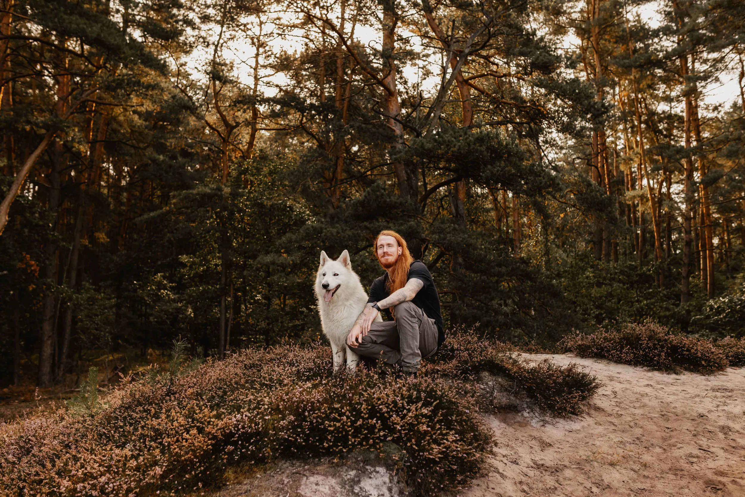 Mann mit langem Haar kniet neben seinem weißen Hund auf einer sandigen Heidefläche, umgeben von Wald und Abendlicht