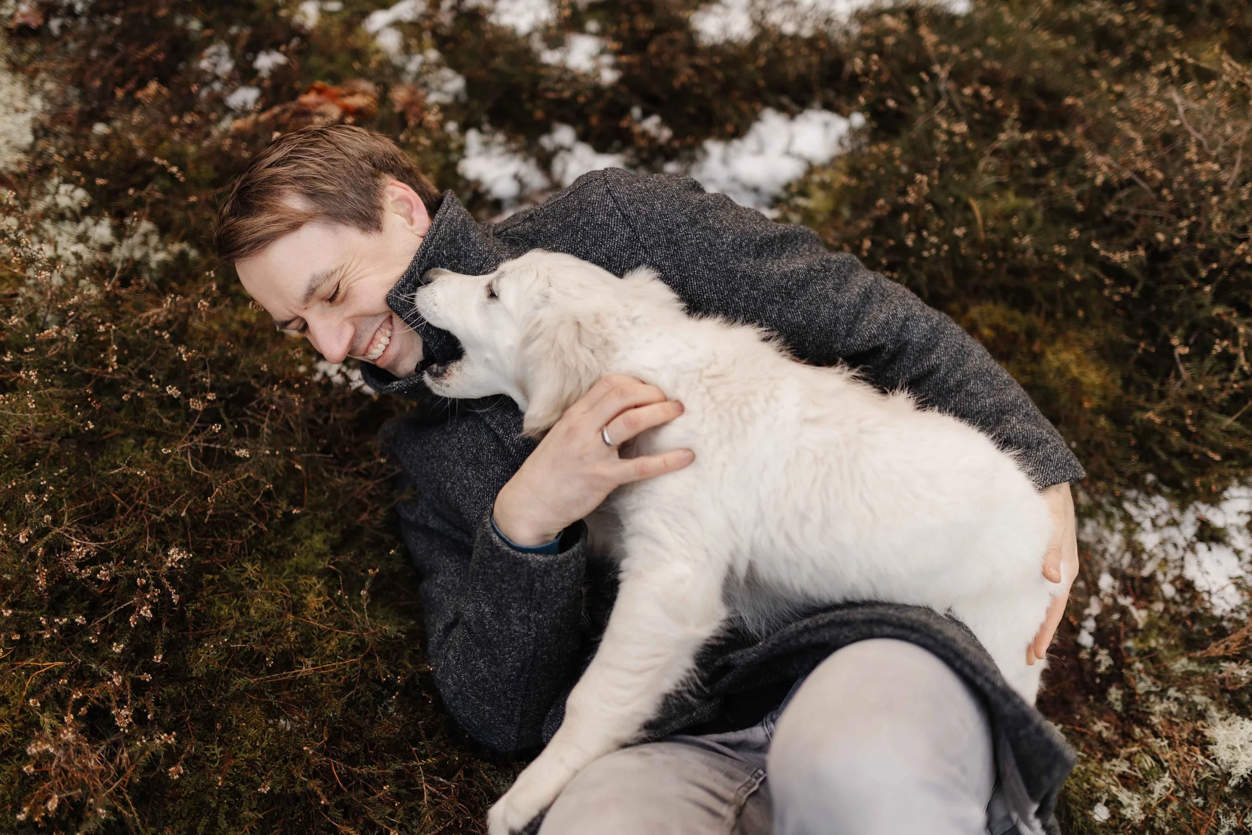 Mann lacht, während ein verspielter Golden Retriever Welpe ihn im Winter auf einer Wiese anspringt.