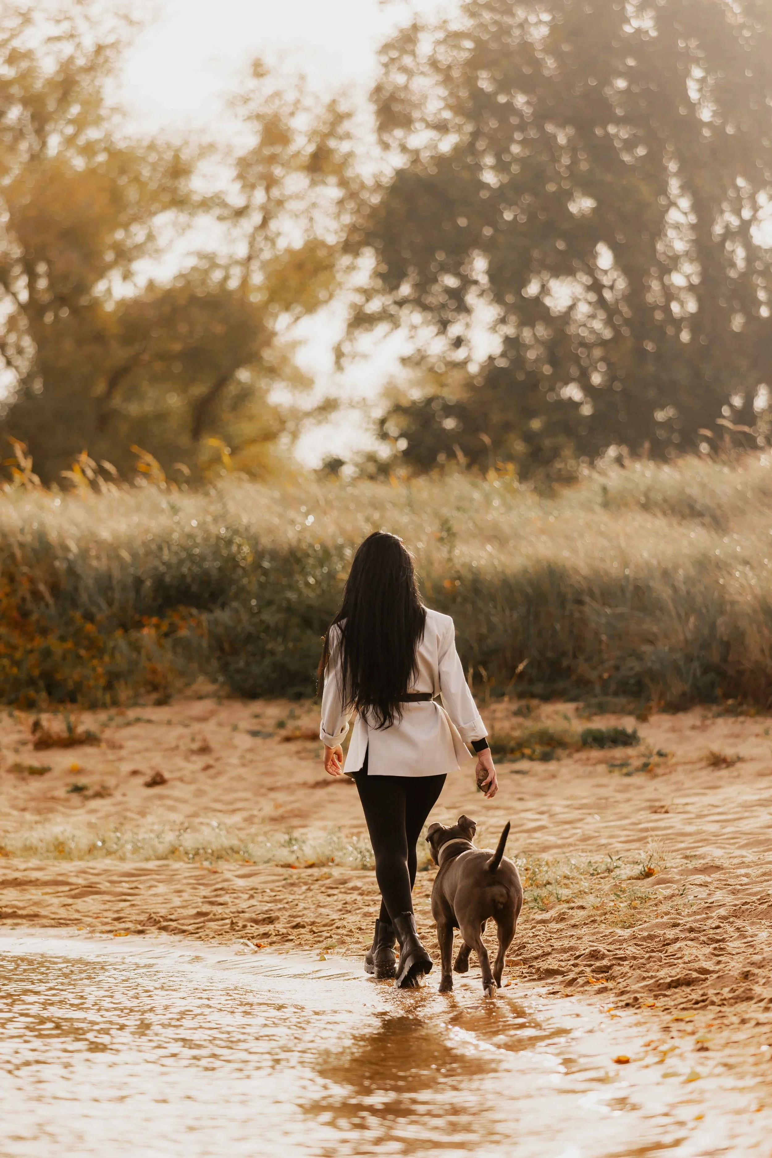 Frau geht mit ihrem grauen Hund am Ufer entlang, warmes Sonnenlicht spiegelt sich im Wasser und schafft eine ruhige Herbststimmung