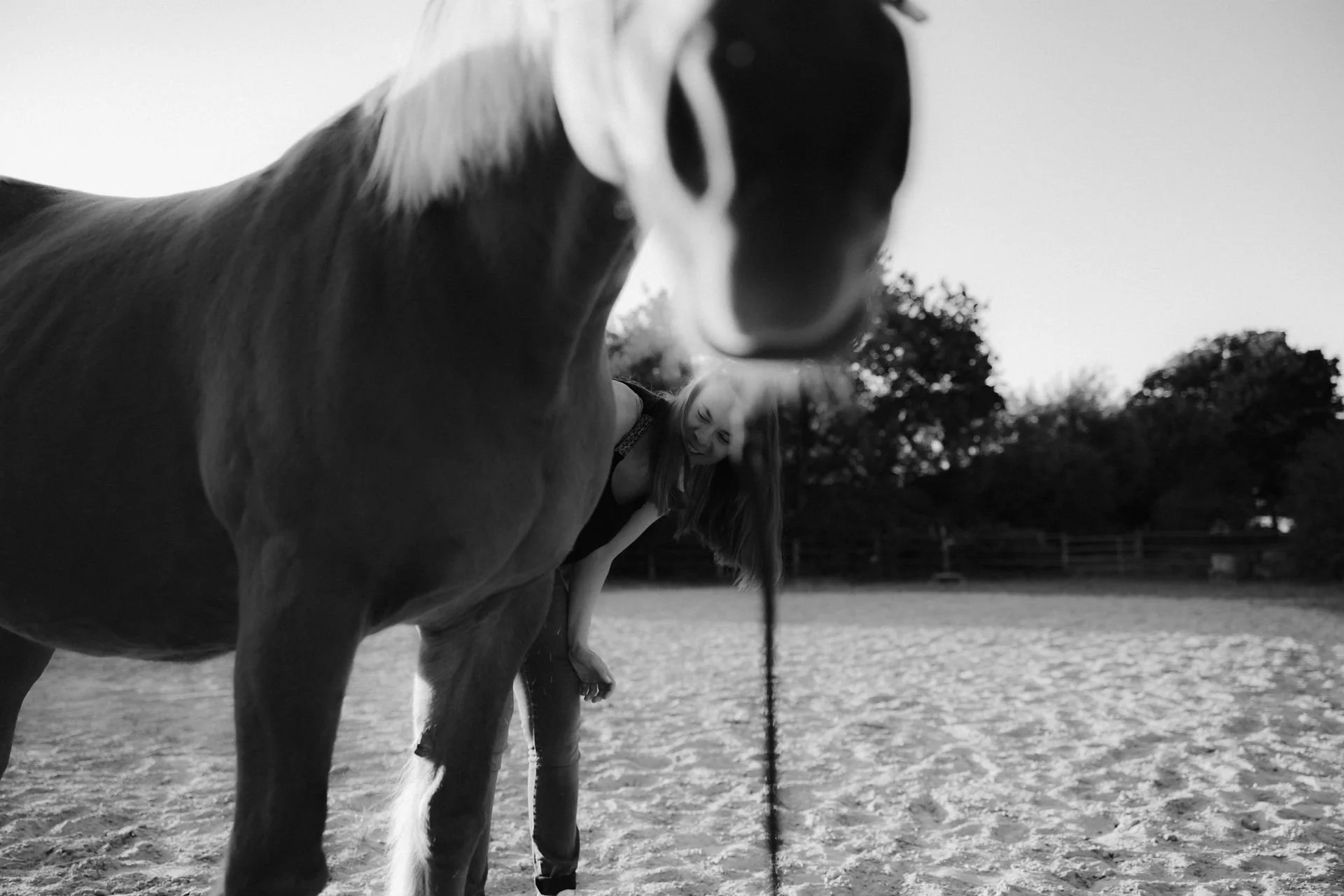 Pferd steht neugierig vor der Kamera auf einem Sandplatz, fotografiert in Schwarz-Weiß