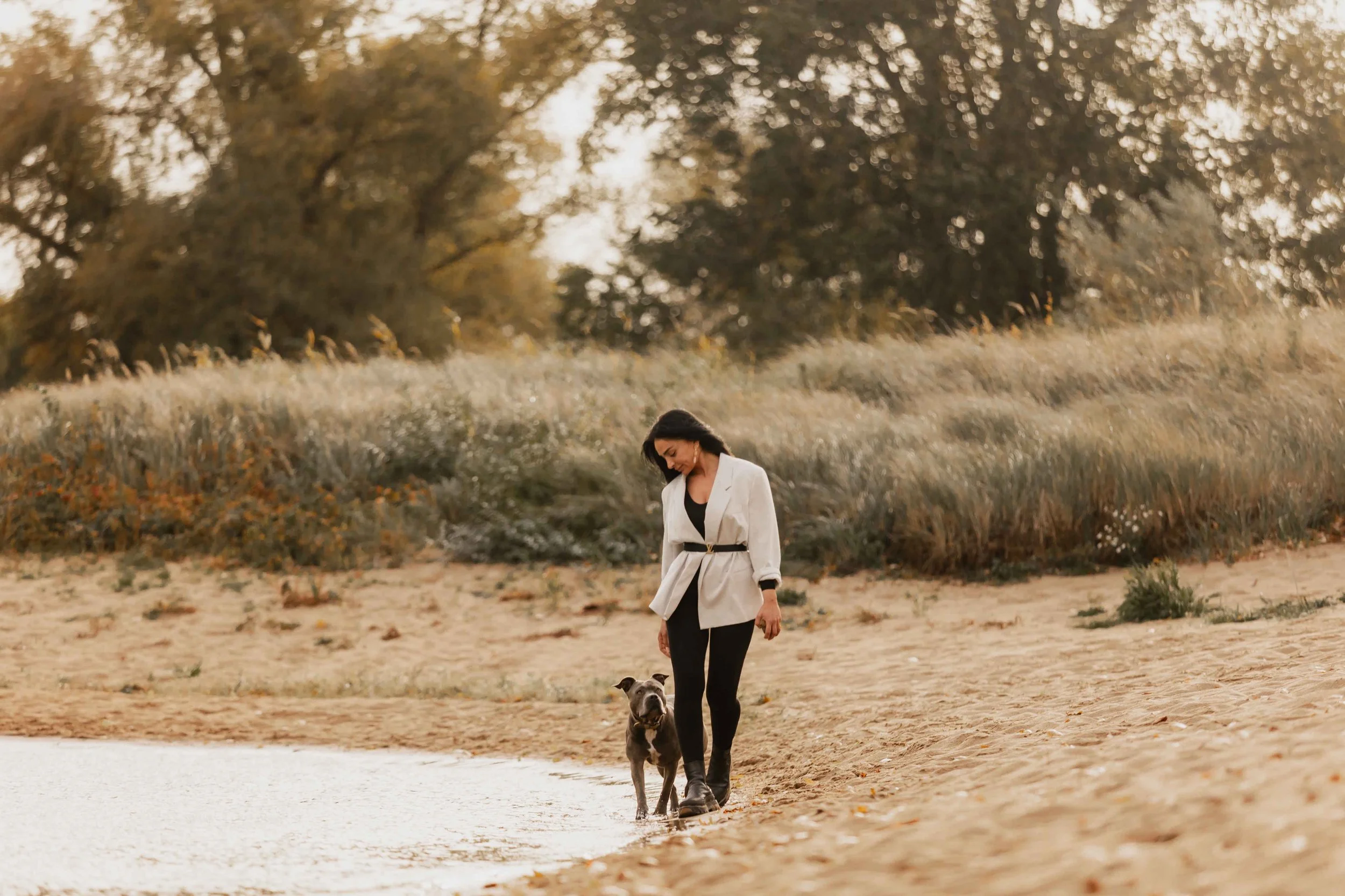Frau spaziert mit ihrem grauen Hund am Ufer eines Sees entlang, sanftes Licht und herbstliche Farben im Hintergrund