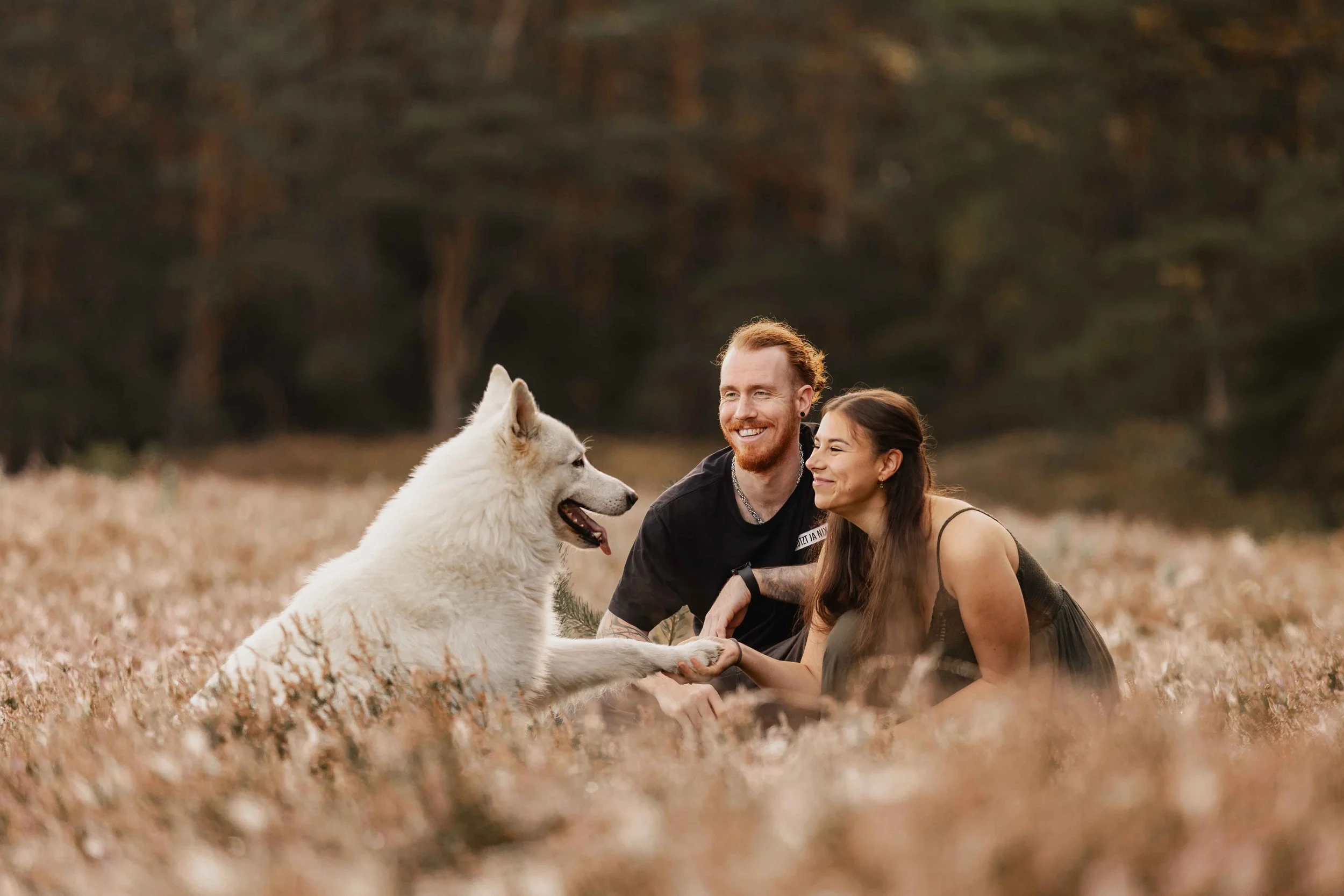 Paar sitzt in der Heide und hält die Pfote ihres weißen Hundes, beide lächeln sich liebevoll an