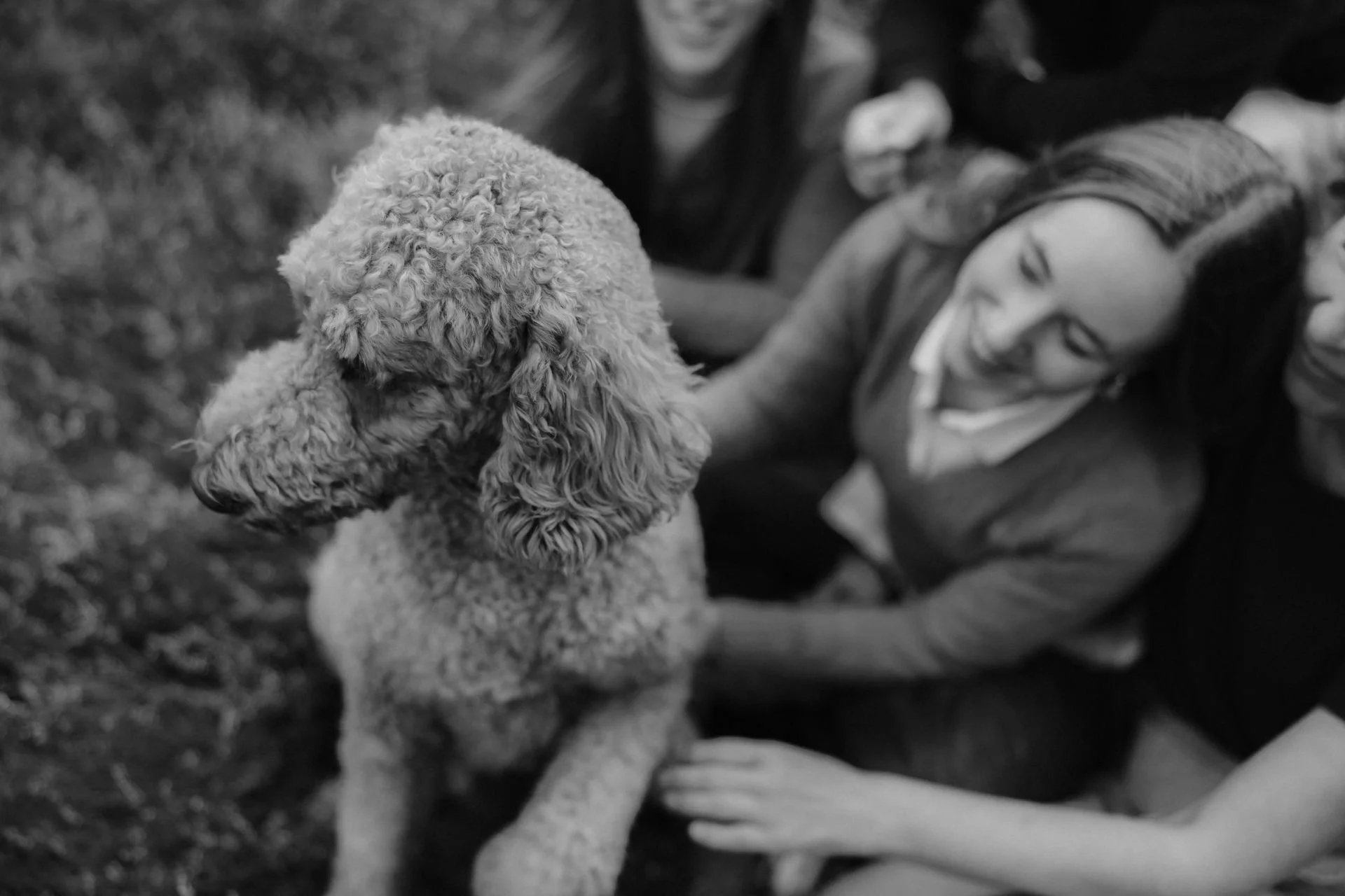 Schwarz-Weiß-Aufnahme einer Familie, die ihren Hund liebevoll umgibt und gemeinsam Zeit in der Natur verbringt