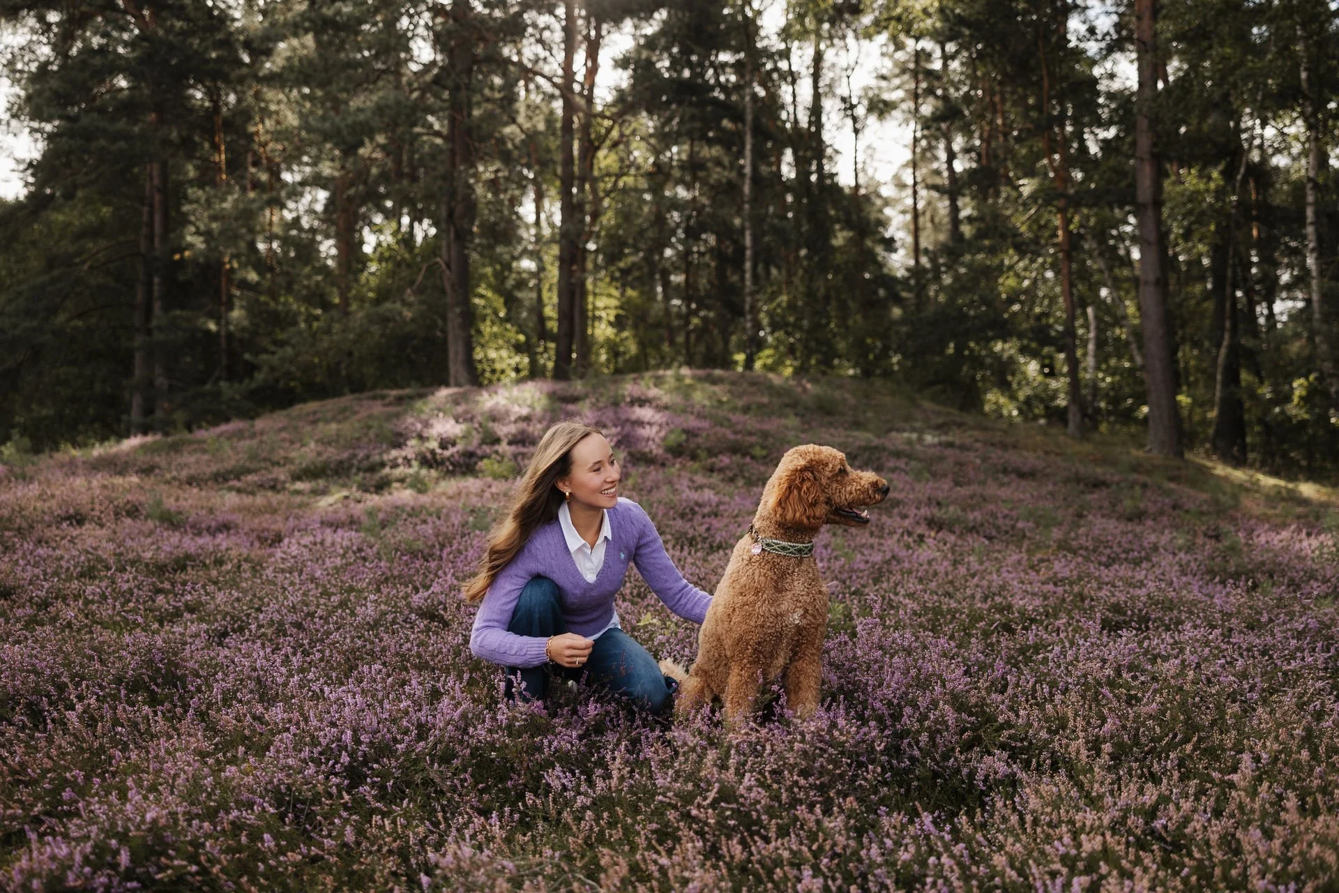 Frau kniet gemeinsam mit ihrem Hund inmitten einer weitläufig blühenden Heidelandschaft am Waldrand
