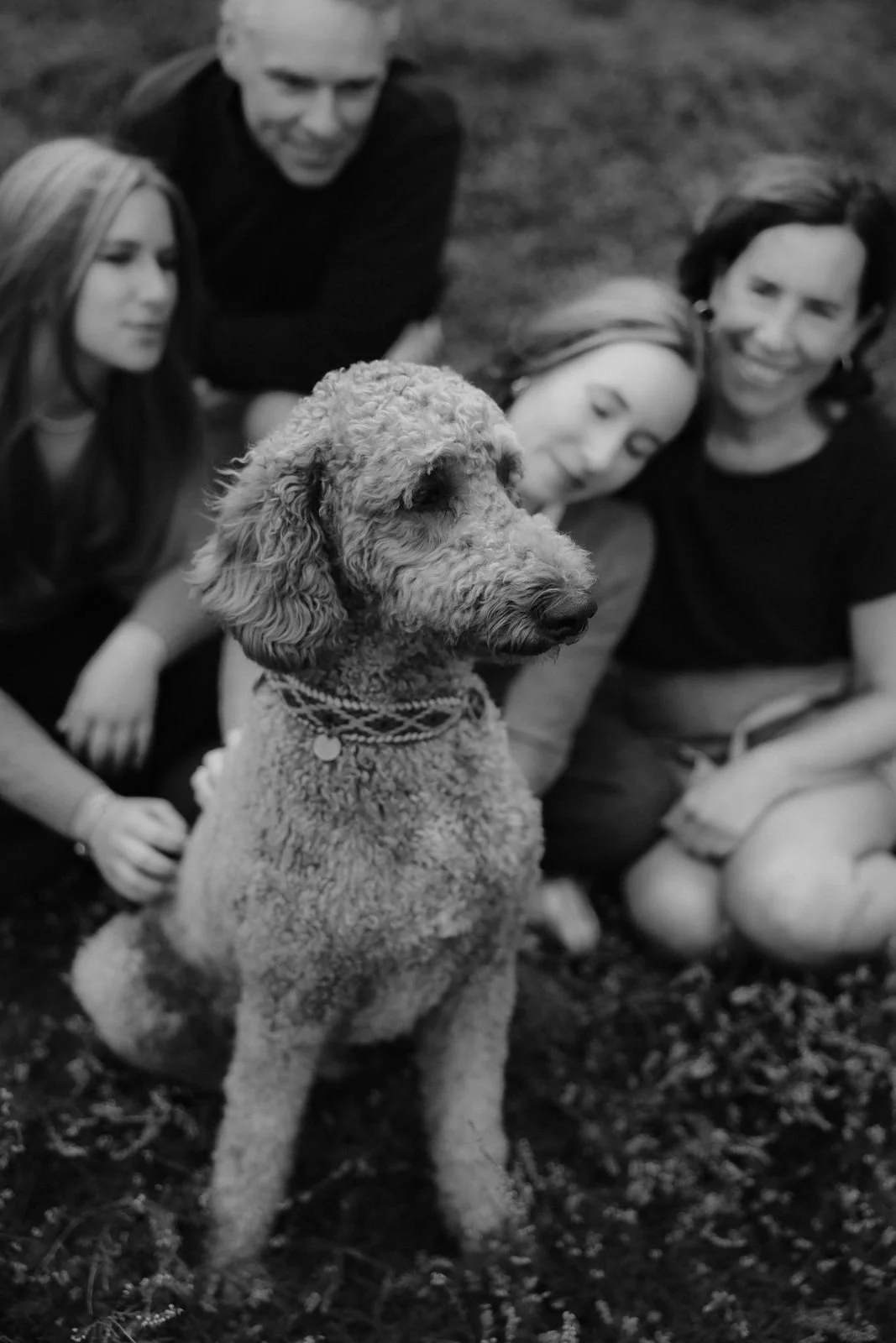 Familie mit Hund bei einem gemeinsamen Fotoshooting in der Natur