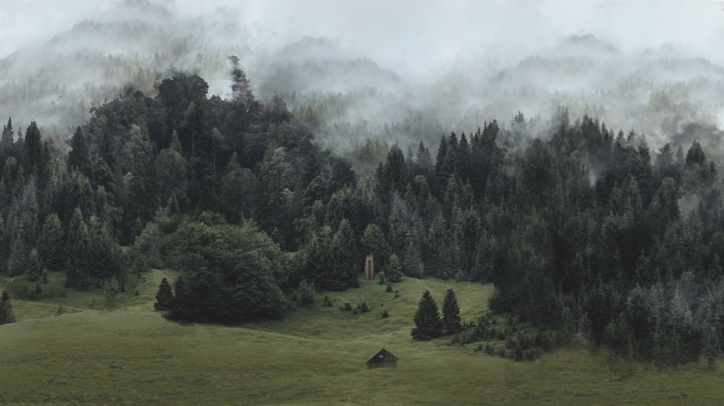 "Into the Wonderland"