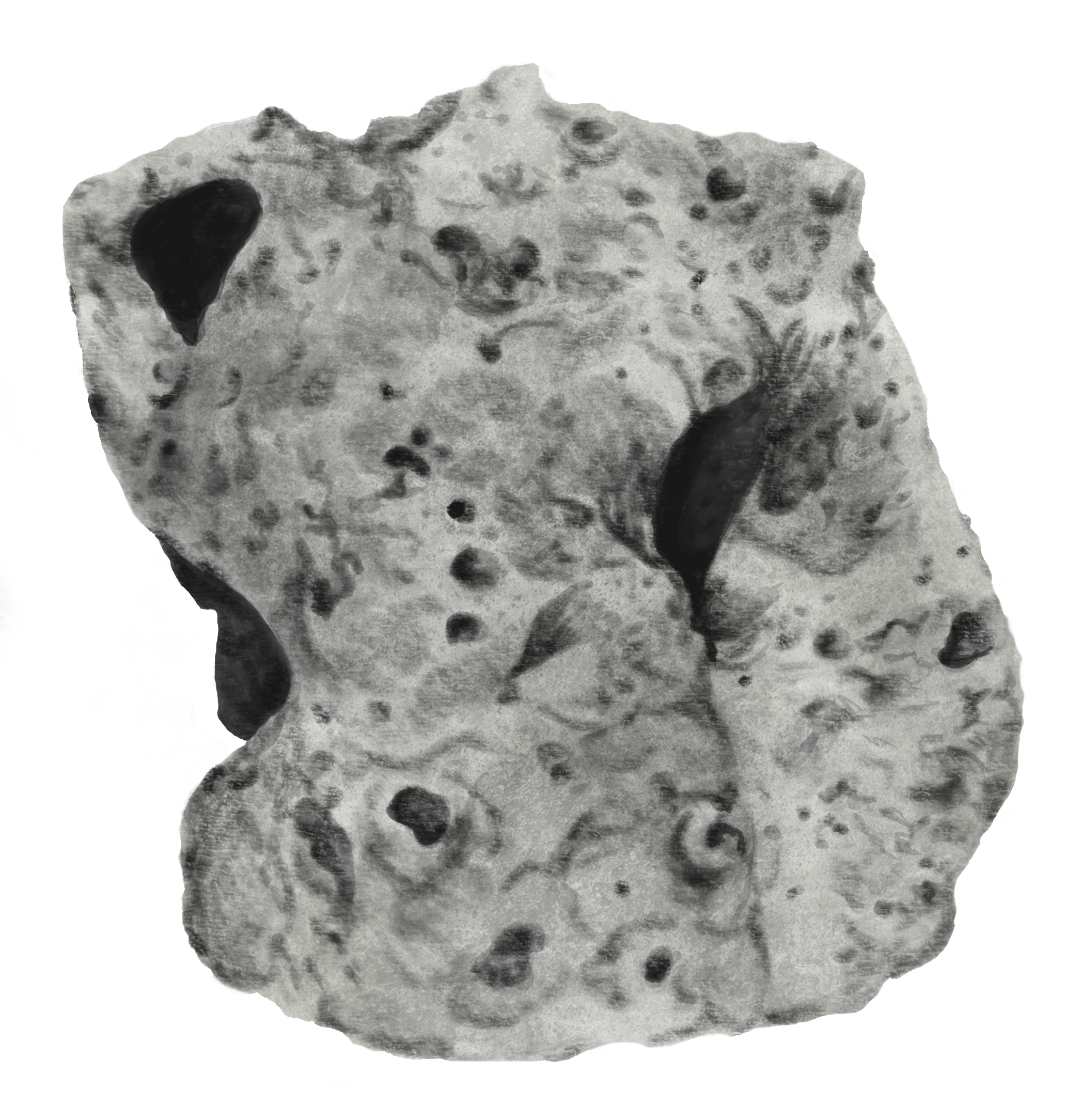 FF2AEE56-B56F-4DC3-9E03-11133584D310.png