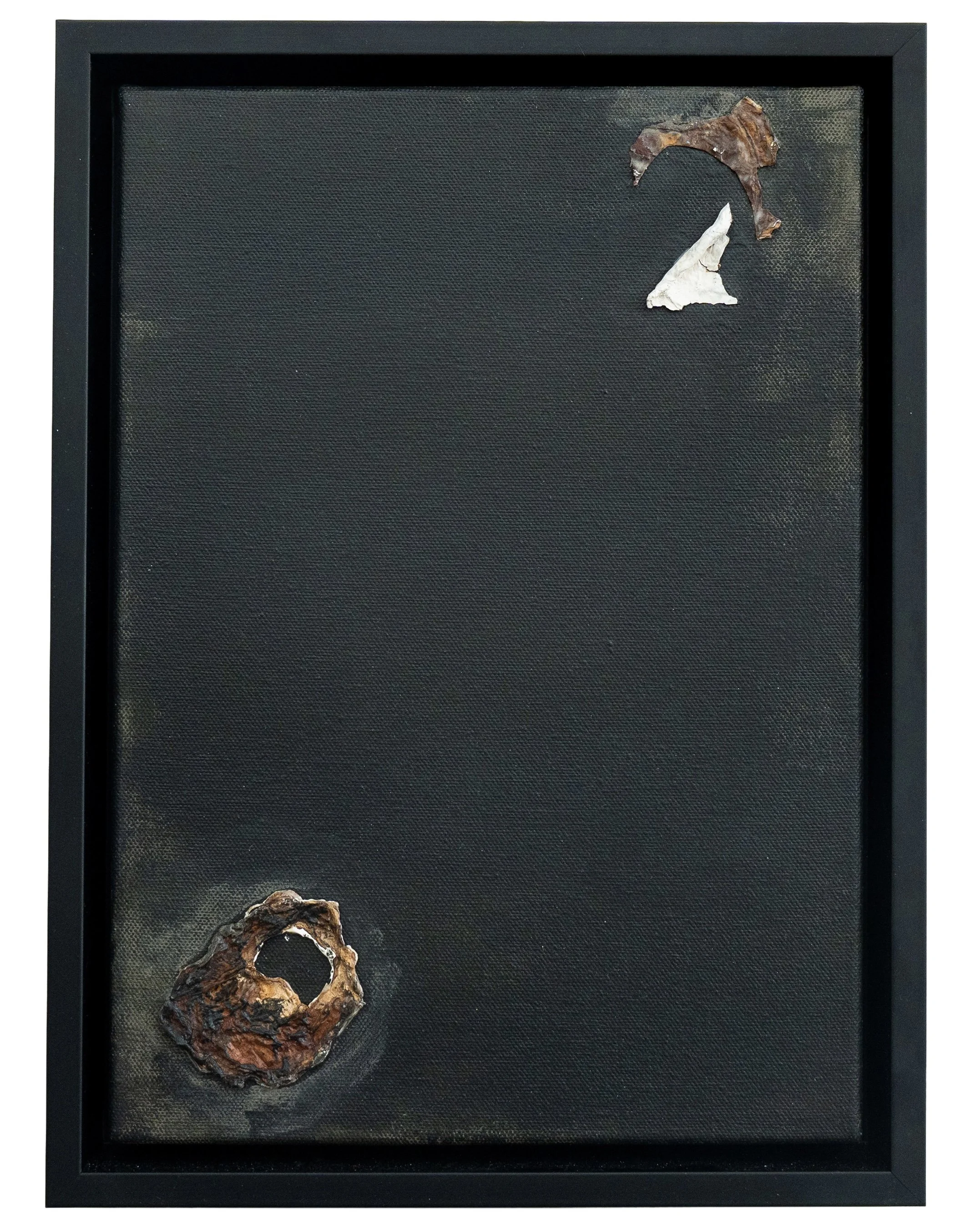 Persephone X, 2026
Acrylic, dried cultures on canvas (framed), 39 x 29 cm