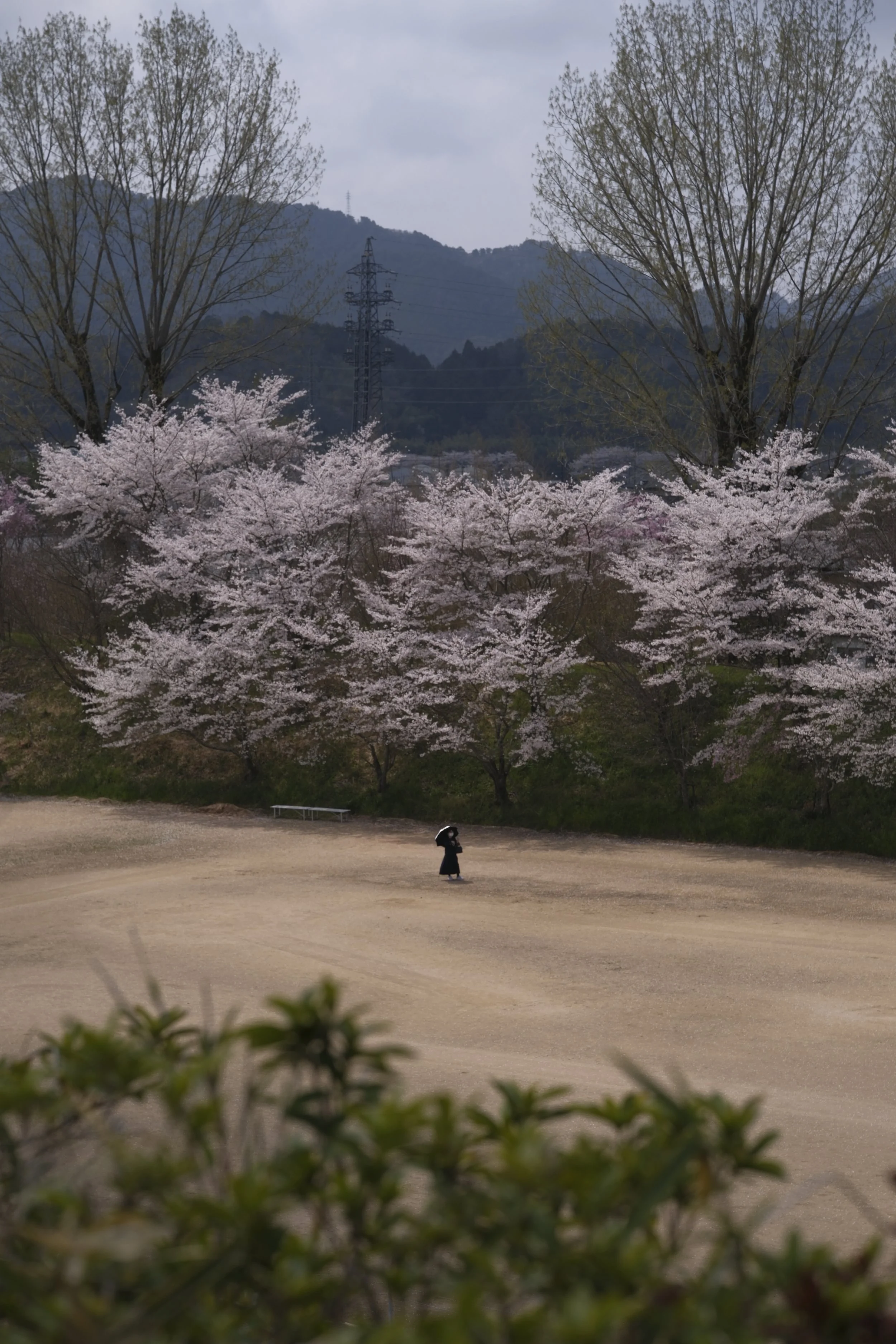_DSF6870.JPG