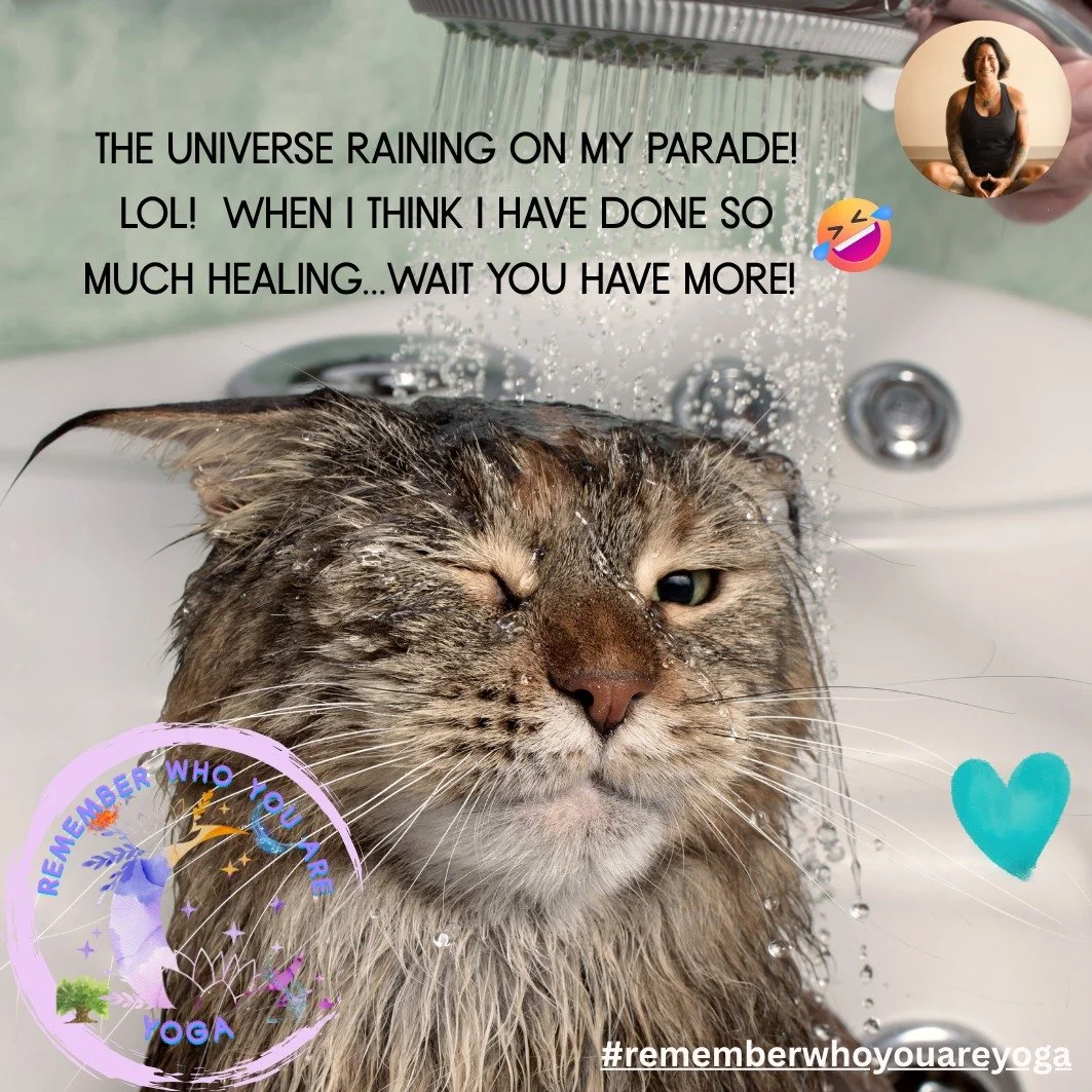 Wait....always more!  LOL....that is okay...we are here to learn.  I am good with that, plus spirit gives me breaks in between...although sometimes I am like WTF??? LOL!! 🤣🤣

#love #spirit #energy #goodvibes #yoga #yogainspiration #consciousness #i