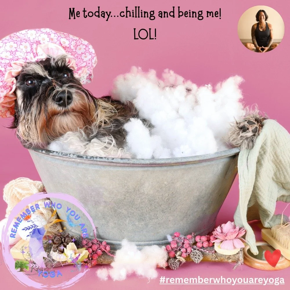 LOL...sometimes you just have to chill! 🌹🤣💙🌺💥🤣

#love #spirit #energy #goodvibes #yoga #yogainspiration #consciousness #iam #healing #rememberwhoyouare #humanity #traumahealing #breathe #yogalife #rememberwhoyouareyoga #trauma #tre #vibration