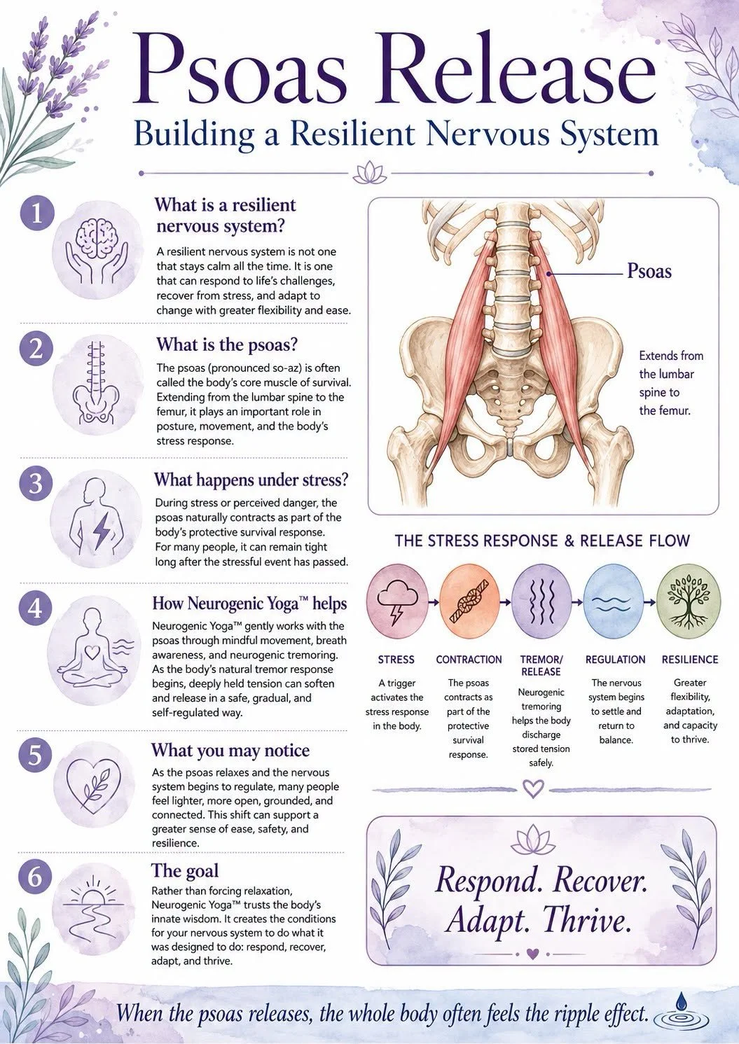 Psoas Release…