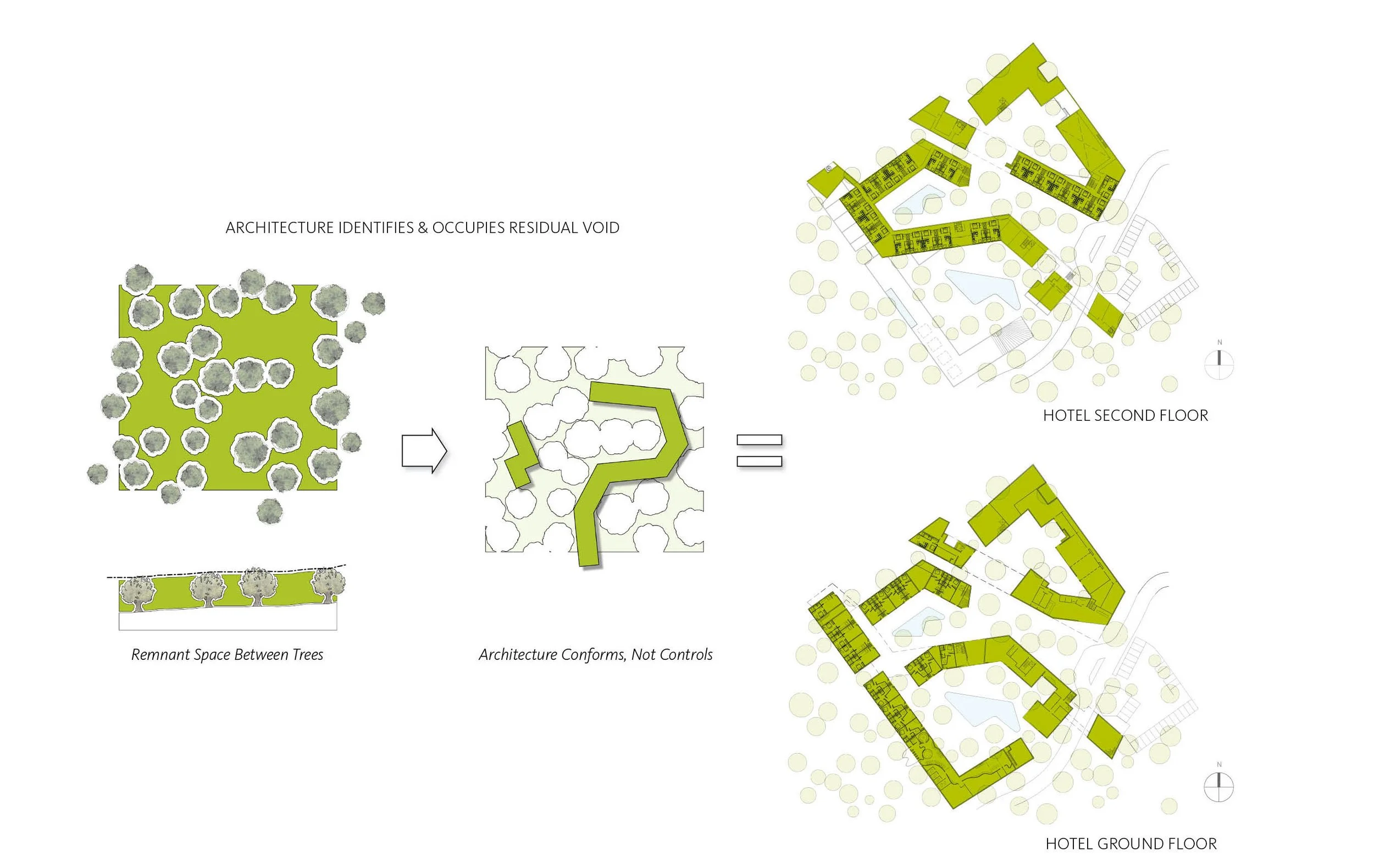 SARPEREA DE PANDI - DIAGRAM.jpg