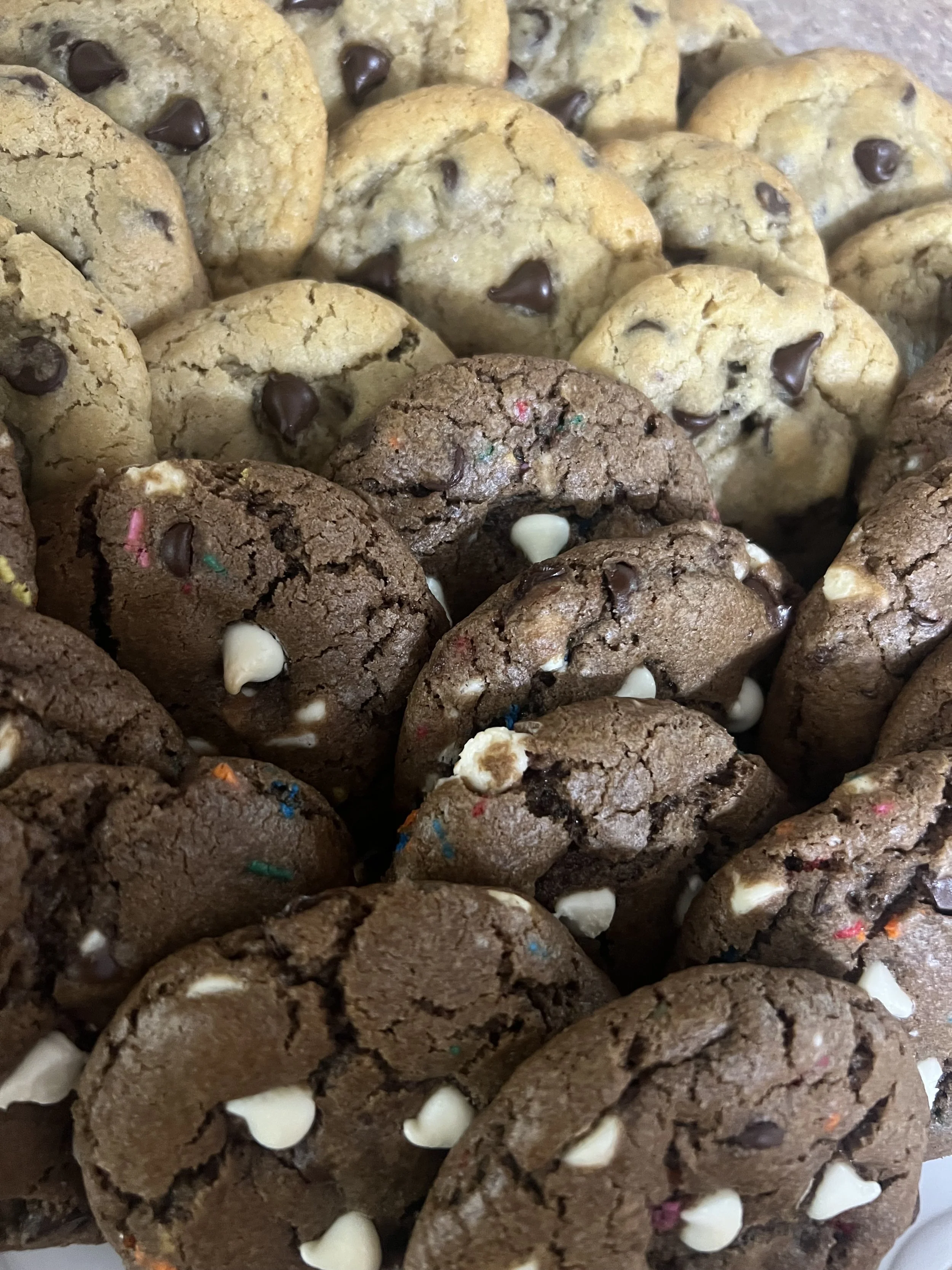 IMG_2576.jpeg