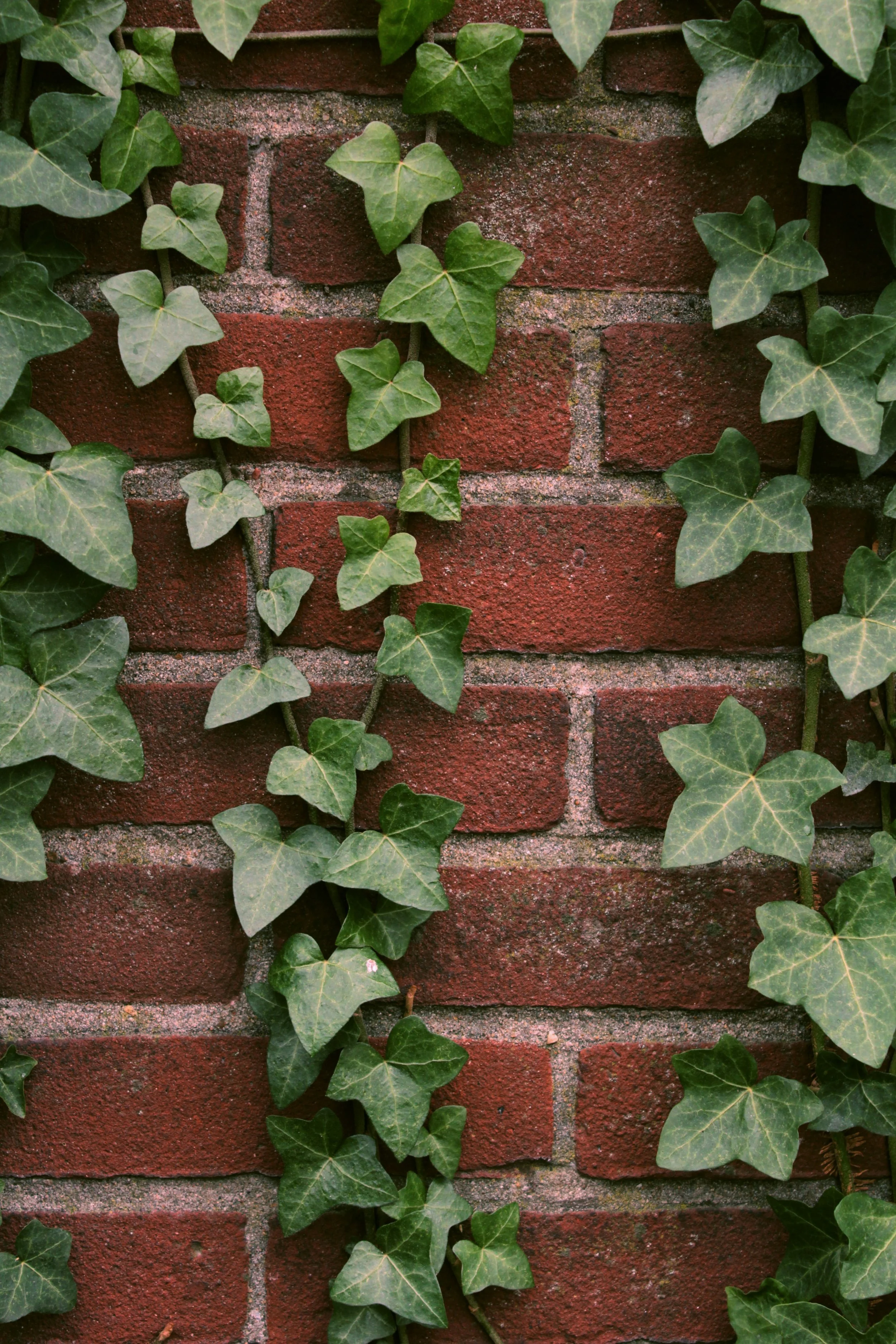 The Professional's Eye: Reading Estate Exteriors Beyond the Obvious: