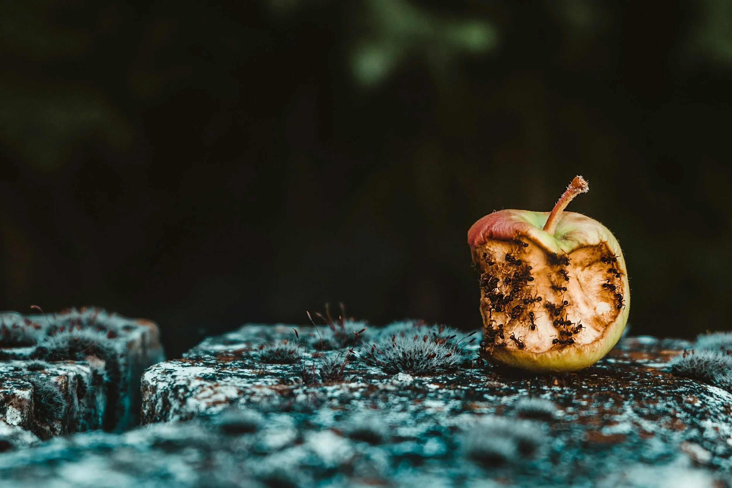 Cycles of Continuity: Decay, Renewal, and the Work Between