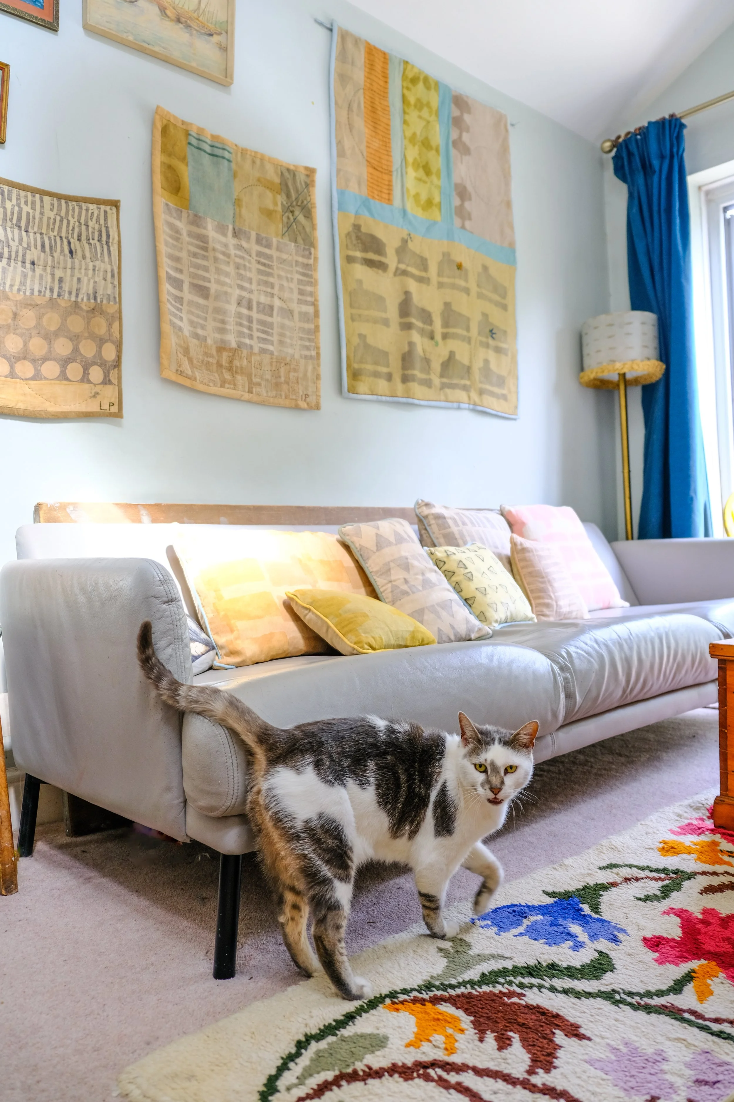 A living room with a white couch holding pastel-colored pillows, a floor lamp, and wall art. A tabby and white cat is walking on a patterned rug in the foreground.