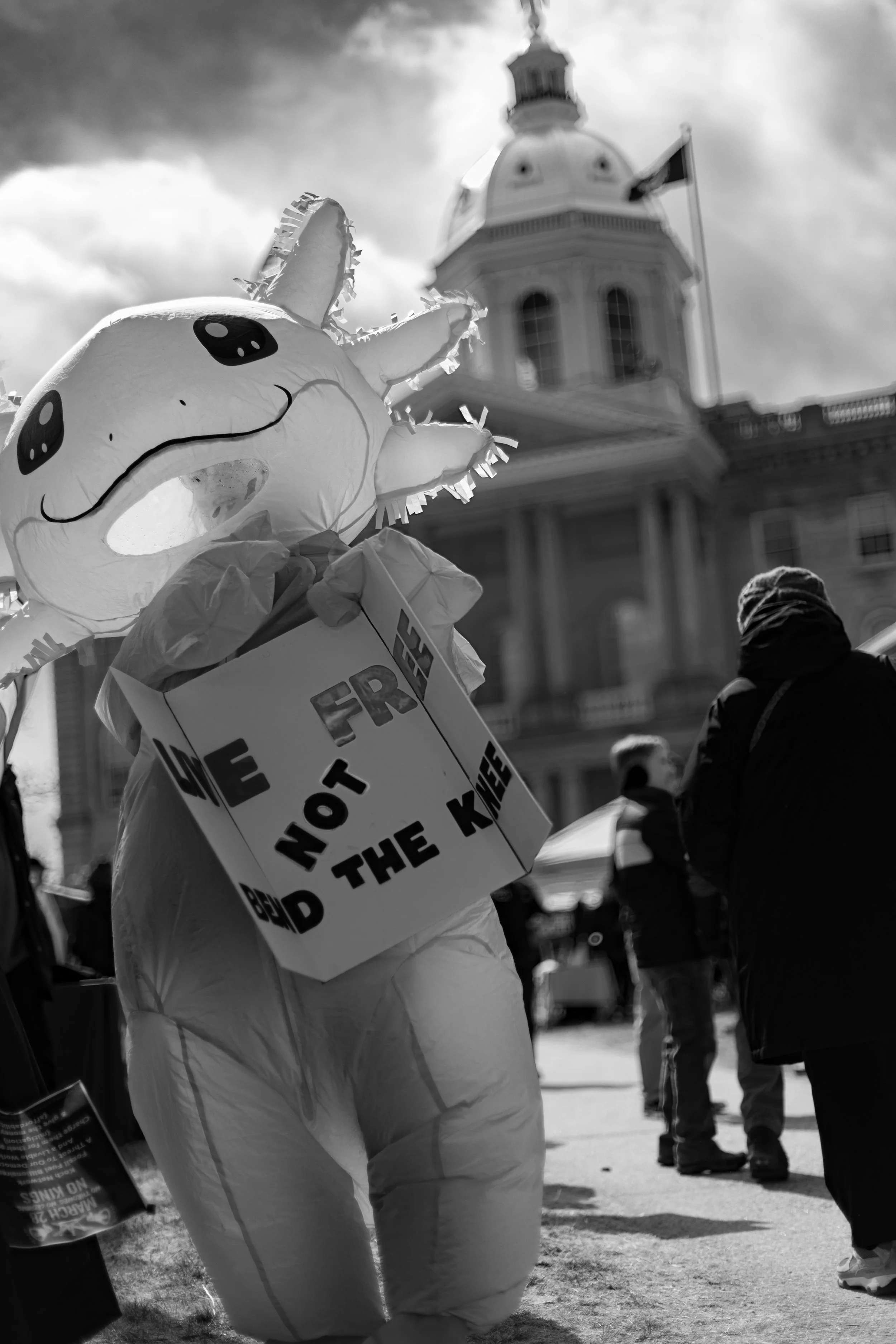 A person dressed in a unicorn costume holding a sign at a protest, with a government building and other protesters in the background.