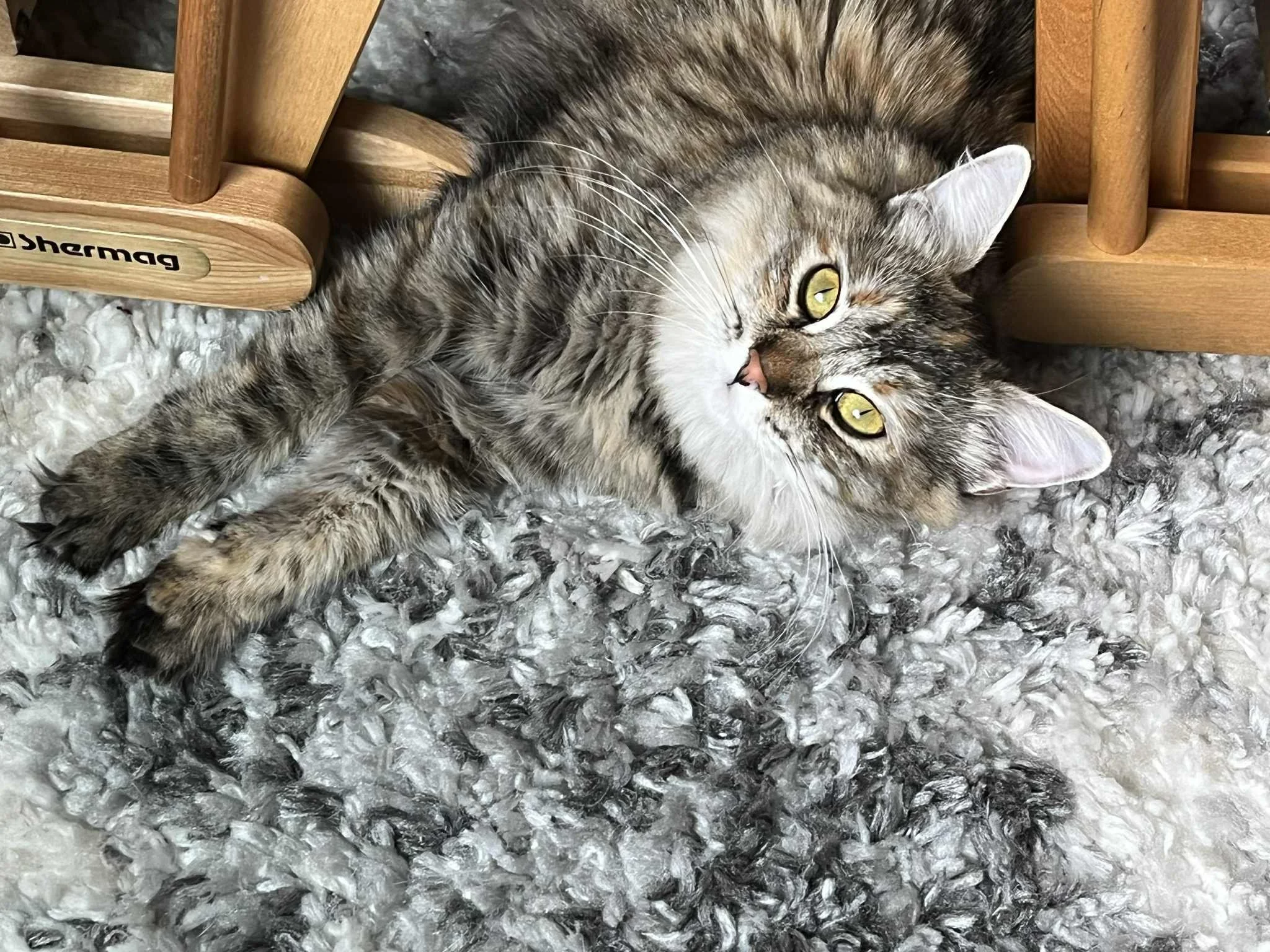 A tabby cat with green eyes lying on a textured gray and white rug, looking up at the camera, near a wooden piece of furniture.